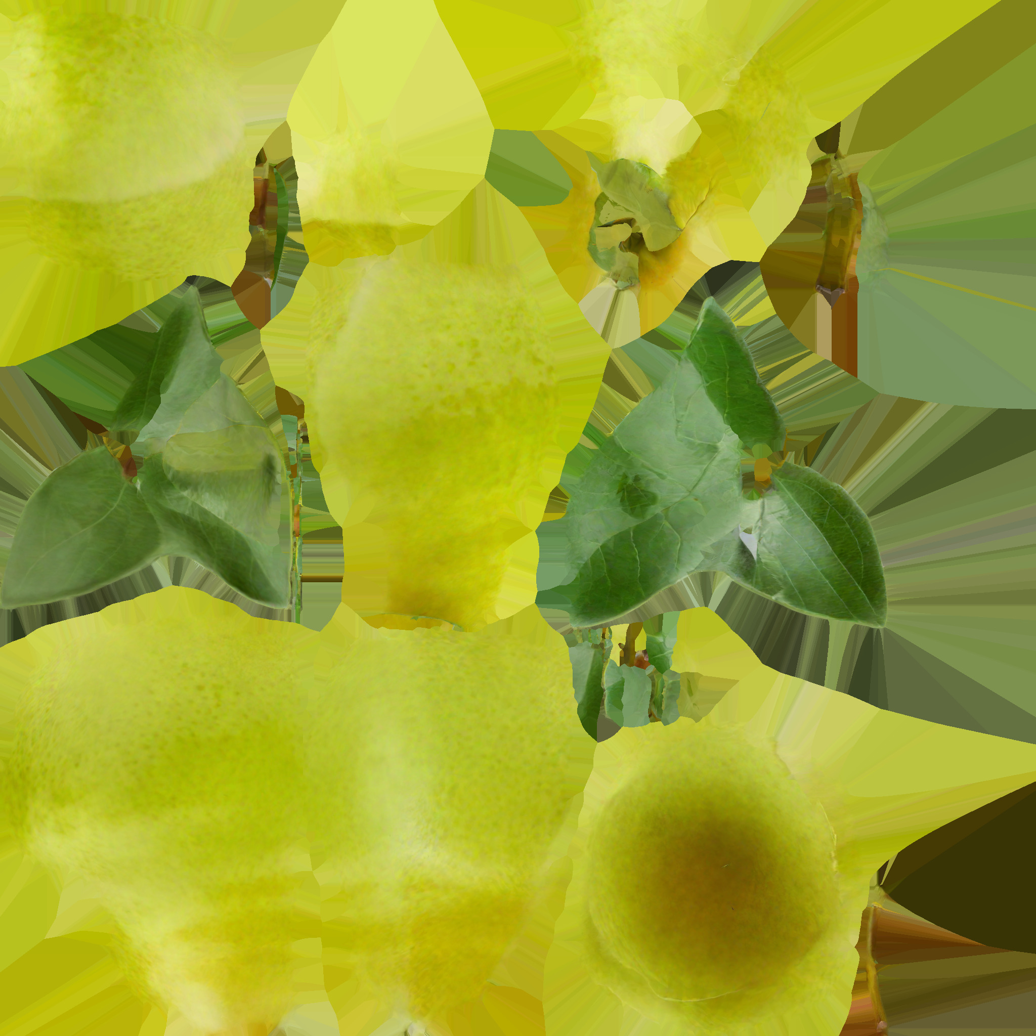 Pear Low-Poly 3D model_5