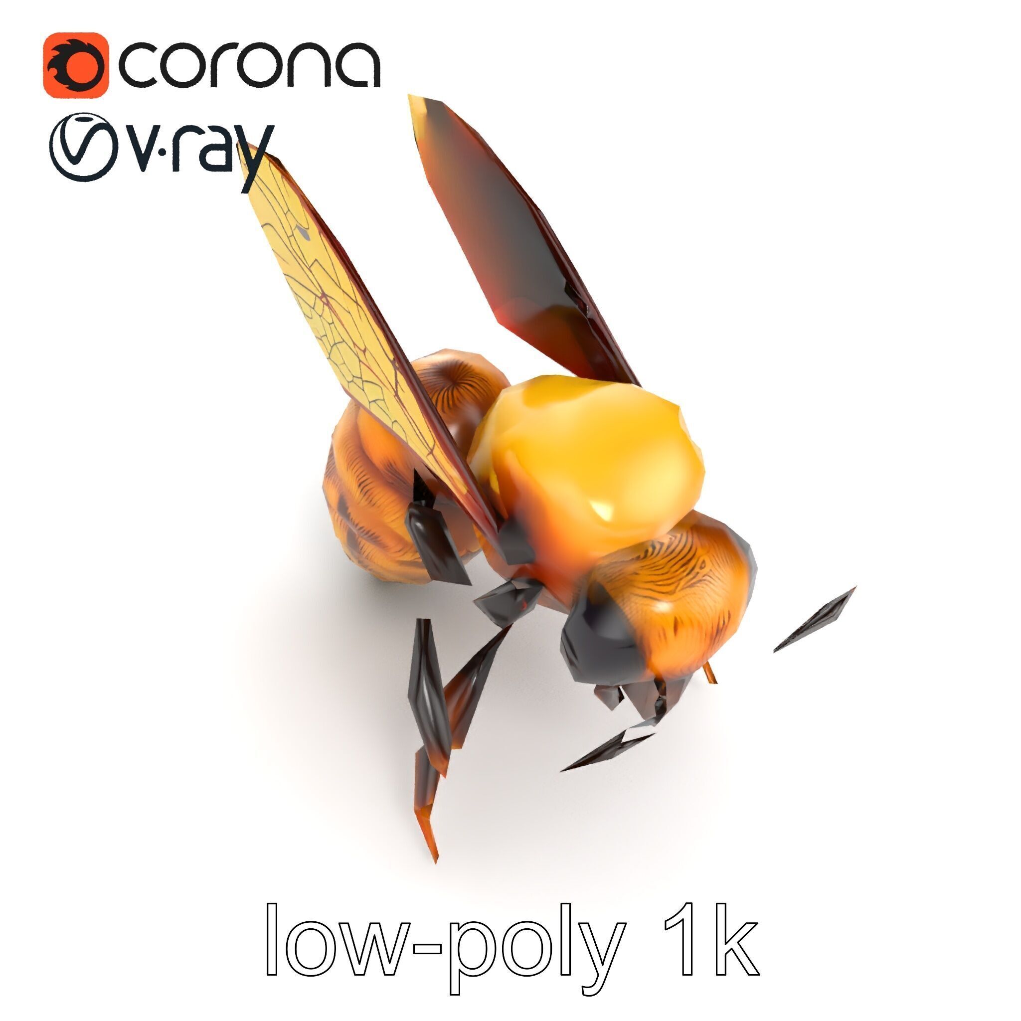 Honey Bee Realistic Anatomical Details model pack Low-poly 3D model_11