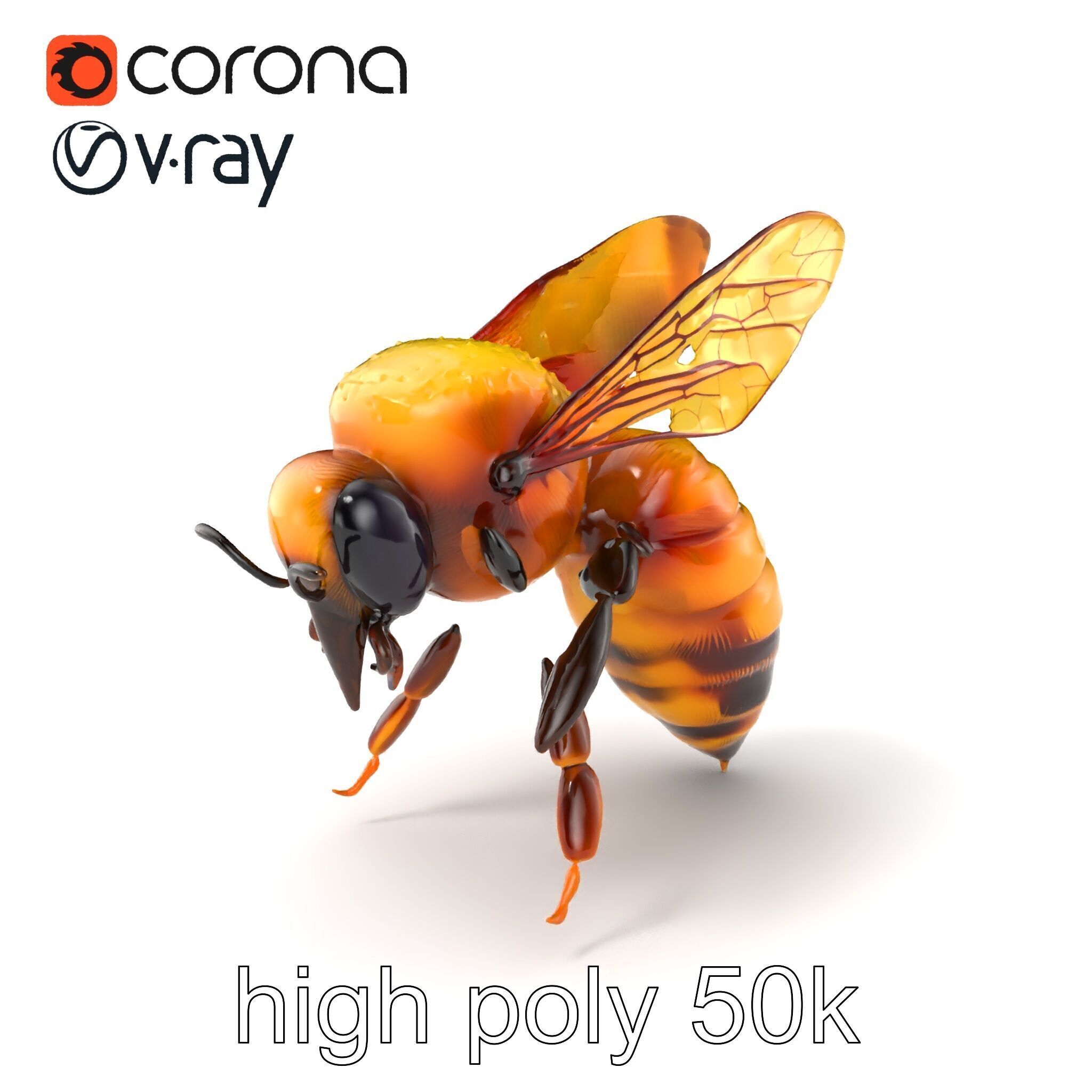 Honey Bee Realistic Anatomical Details model pack Low-poly 3D model_2