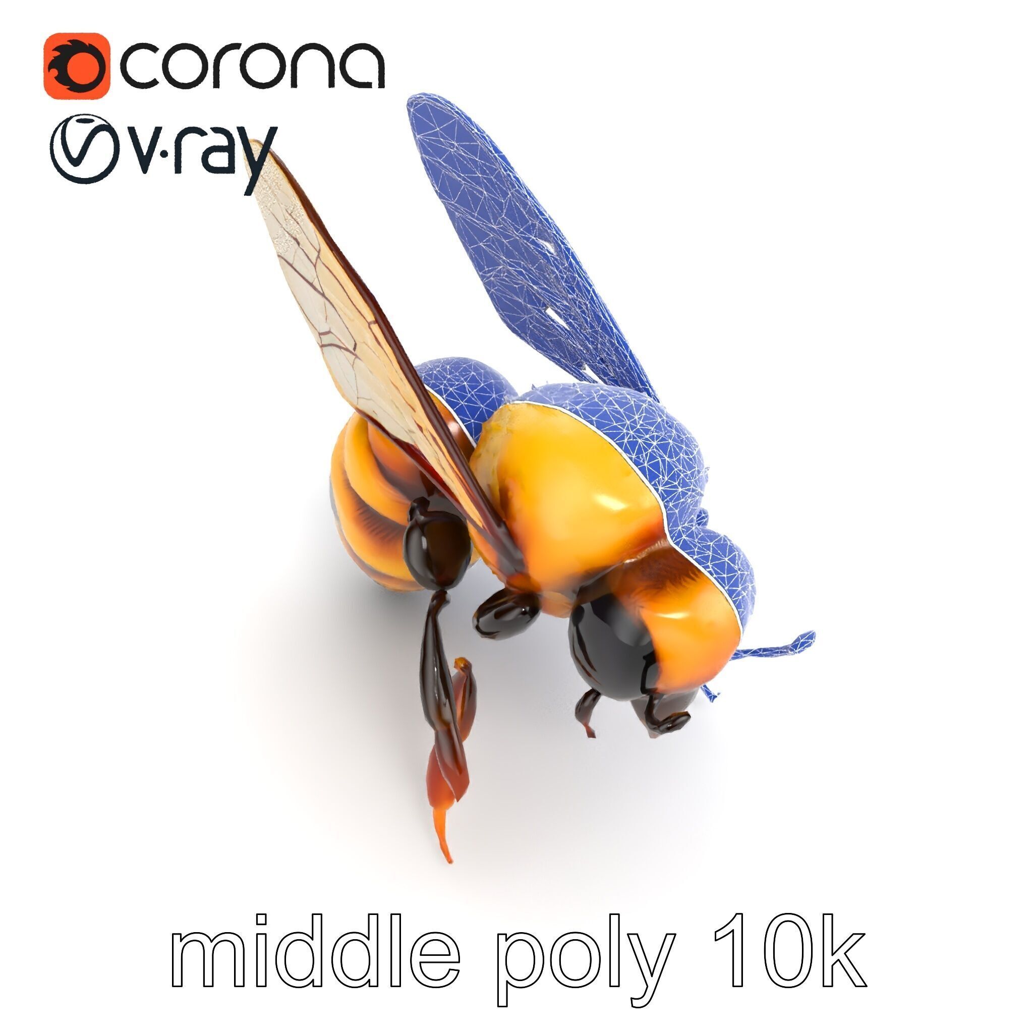 Honey Bee Realistic Anatomical Details model pack Low-poly 3D model_22