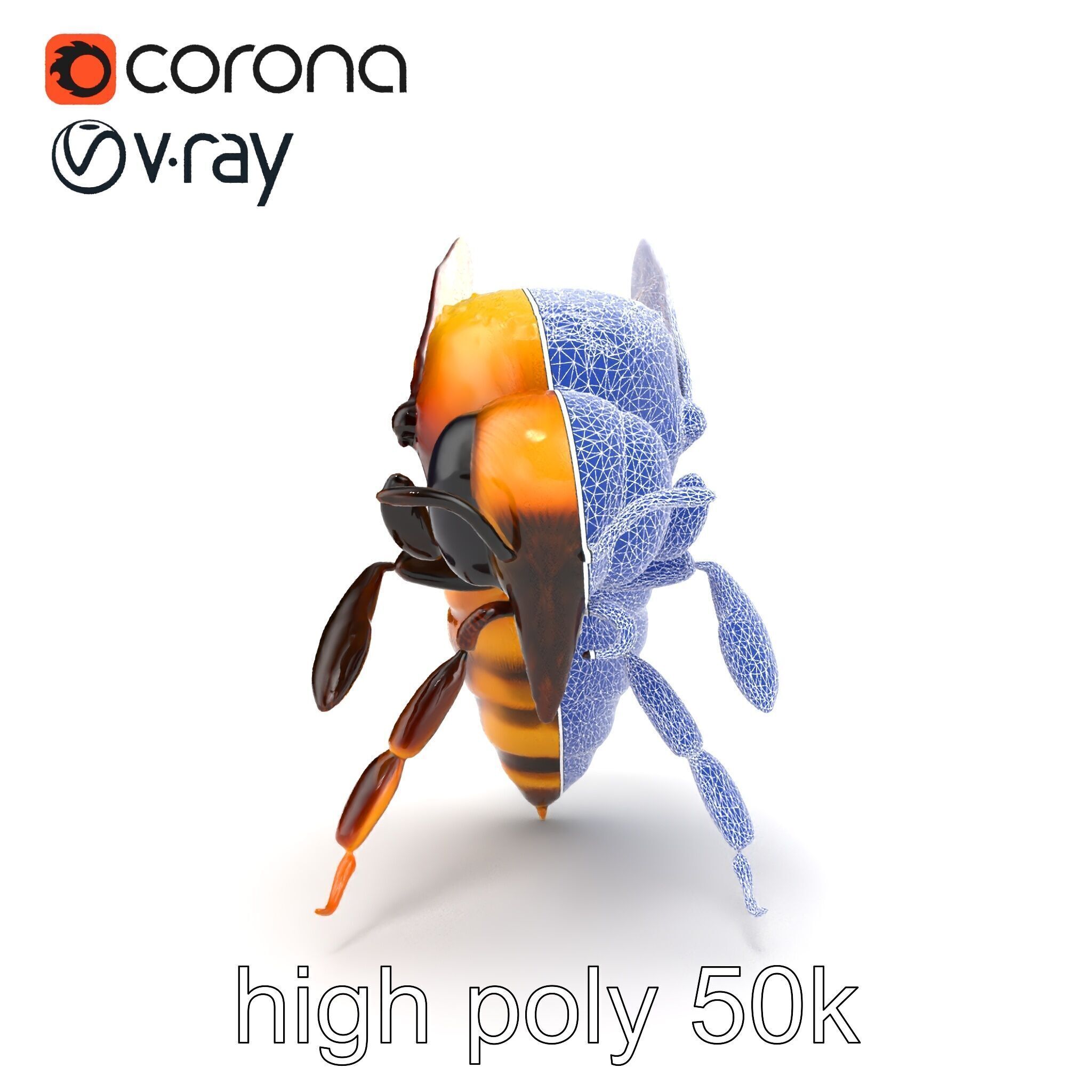 Honey Bee Realistic Anatomical Details model pack Low-poly 3D model_25