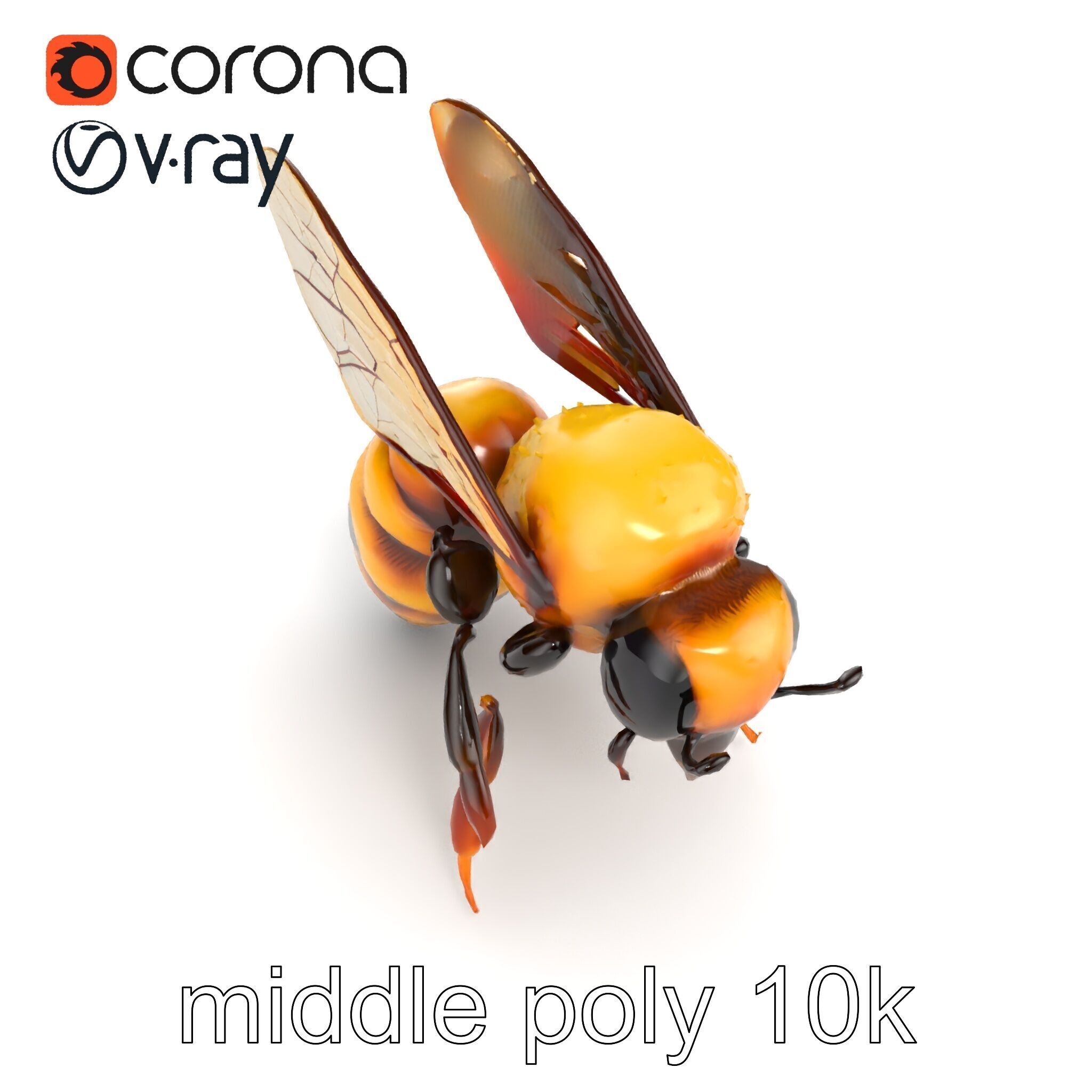 Honey Bee Realistic Anatomical Details model pack Low-poly 3D model_21