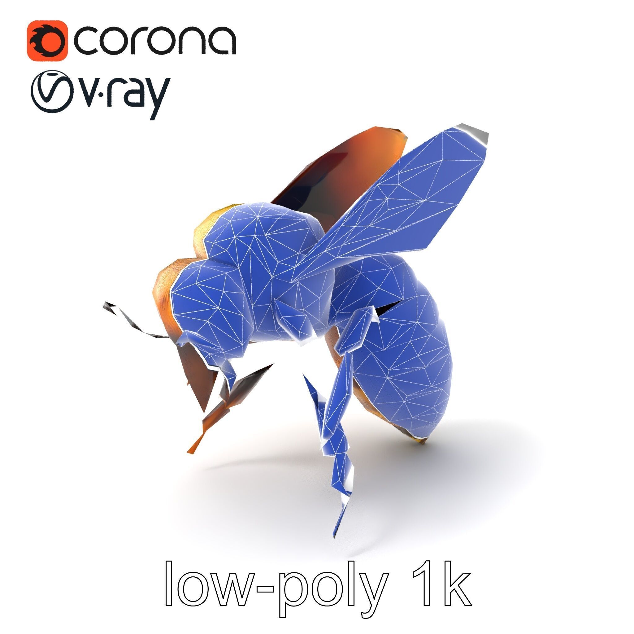 Honey Bee Realistic Anatomical Details model pack Low-poly 3D model_6