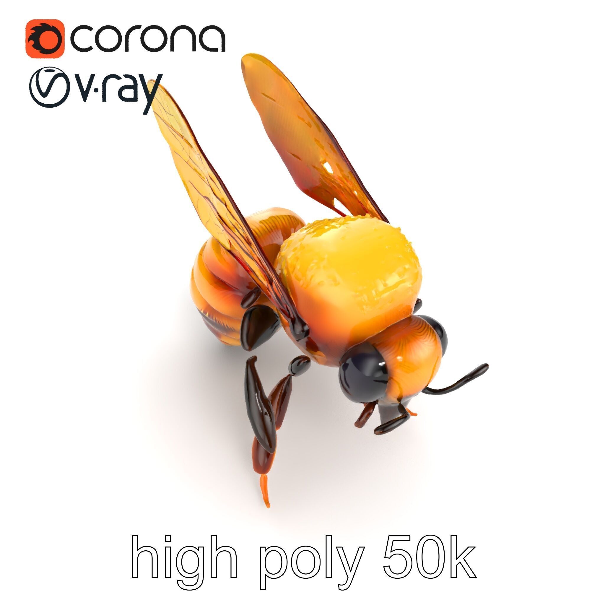 Honey Bee Realistic Anatomical Details model pack Low-poly 3D model_13