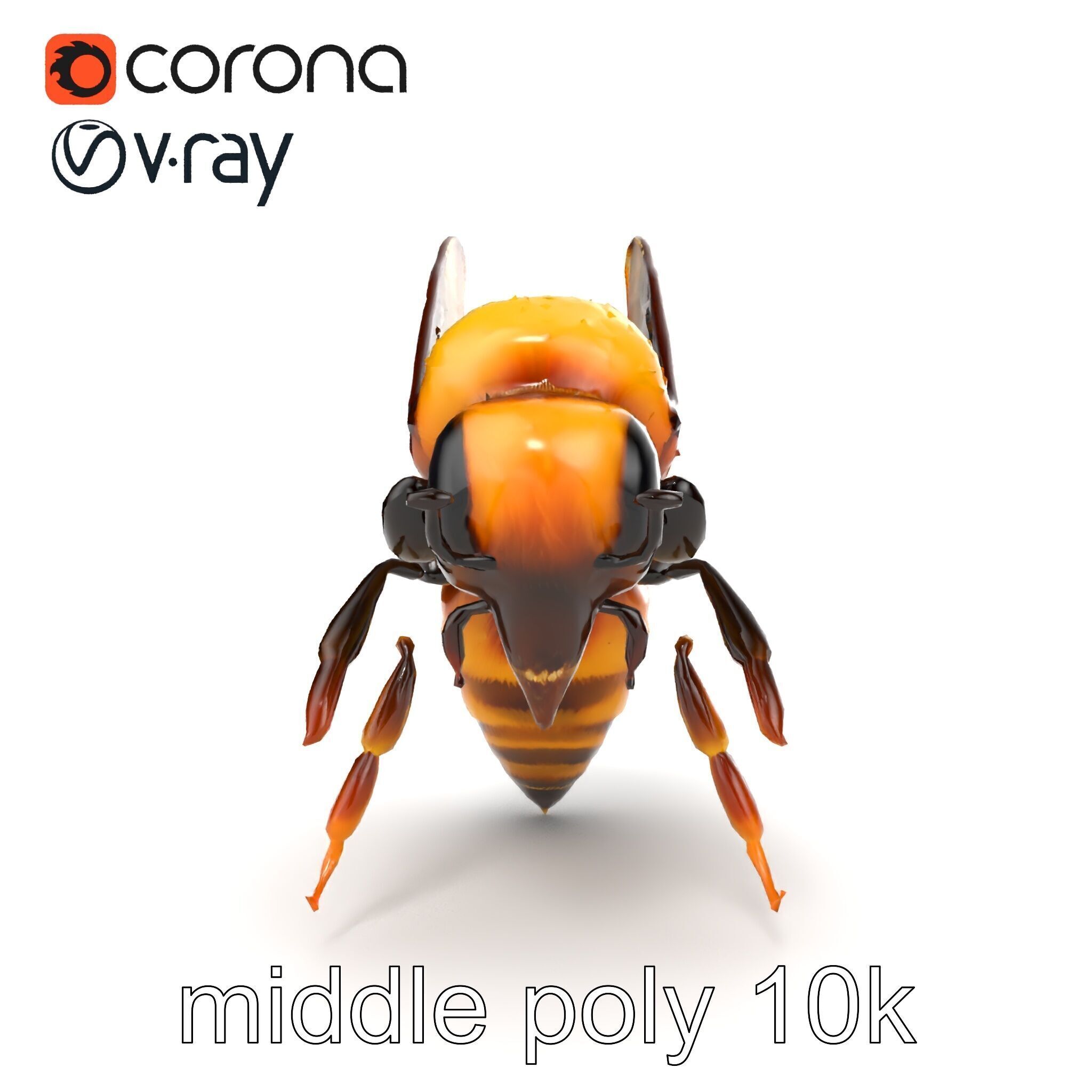 Honey Bee Realistic Anatomical Details model pack Low-poly 3D model_12