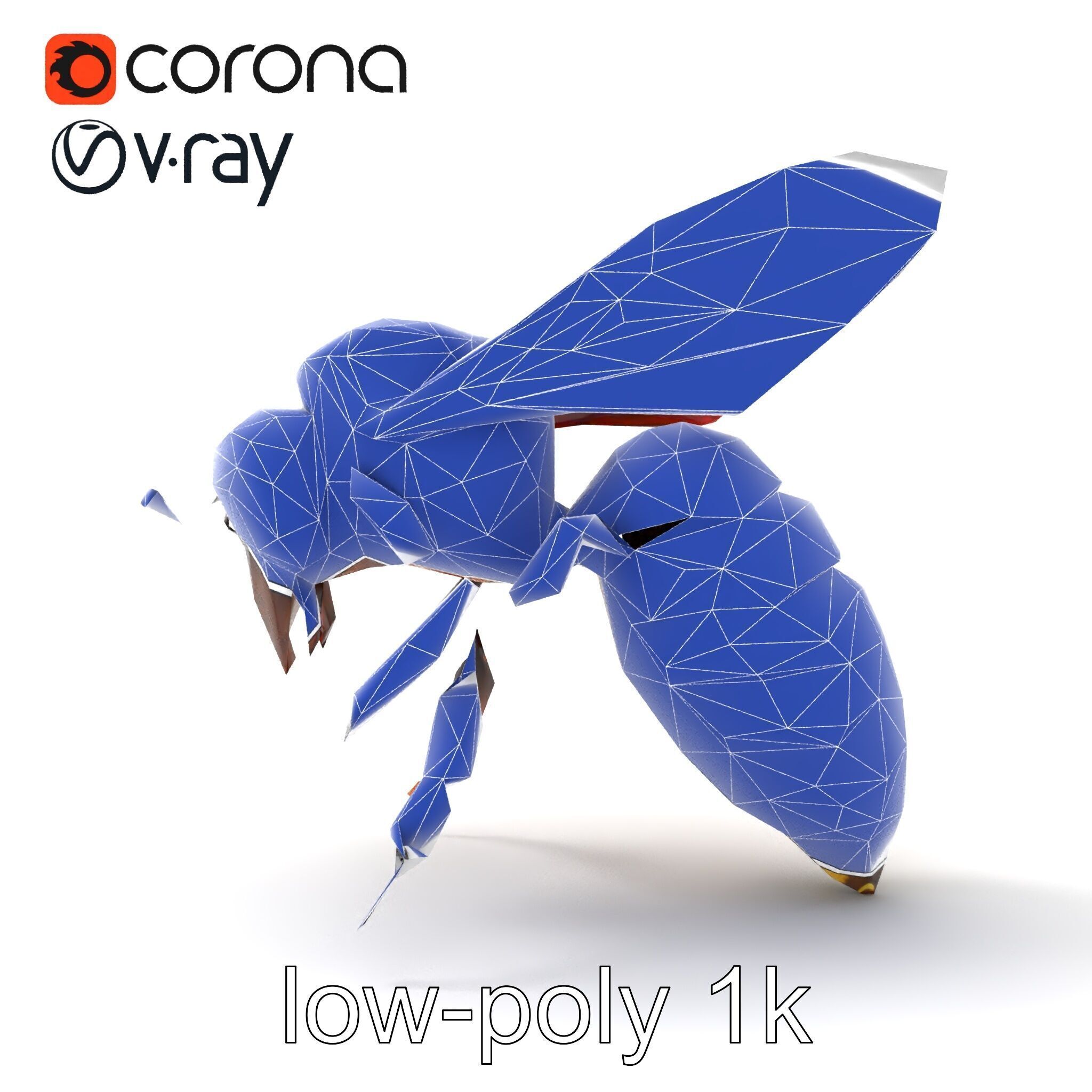 Honey Bee Realistic Anatomical Details model pack Low-poly 3D model_19