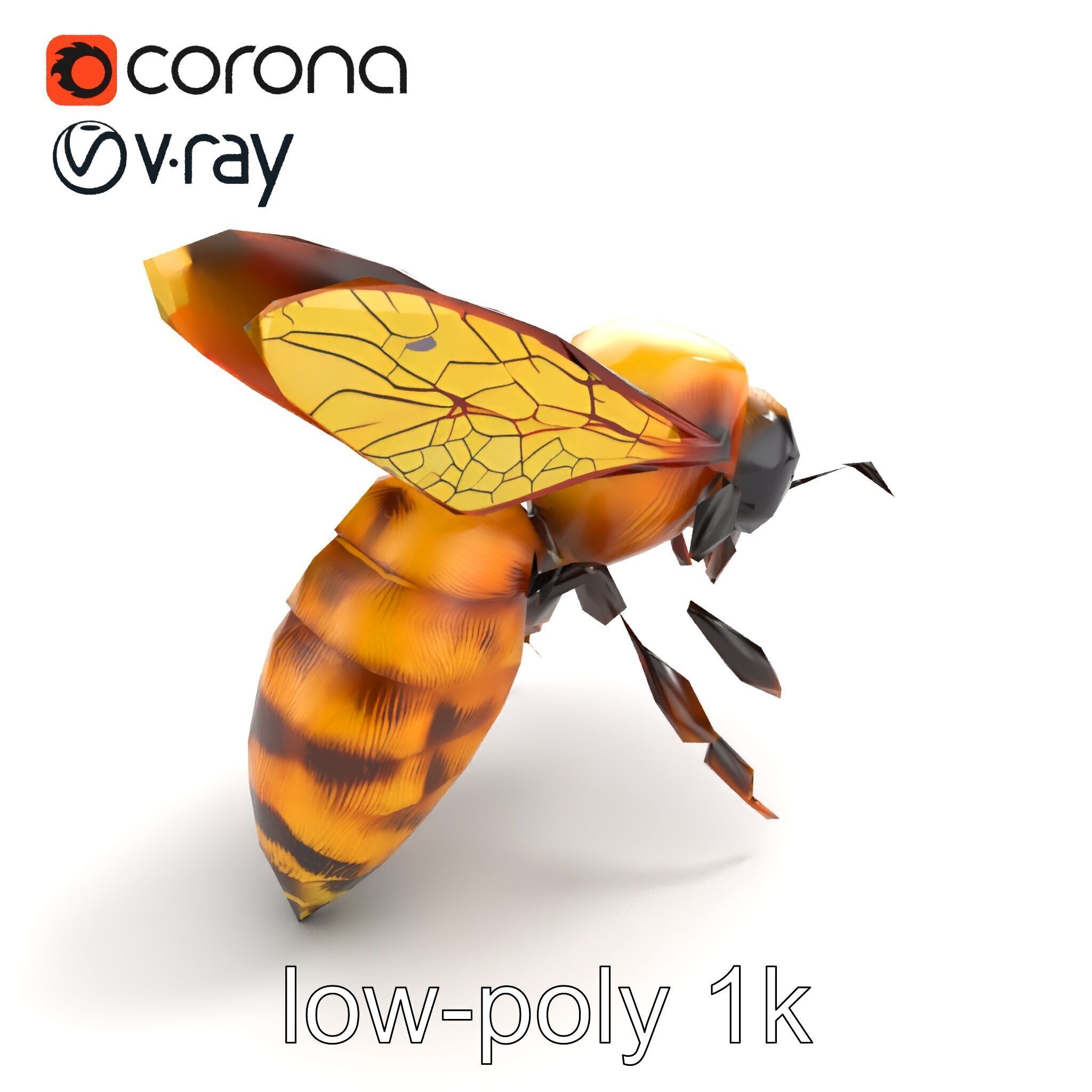Honey Bee Realistic Anatomical Details model pack Low-poly 3D model_8