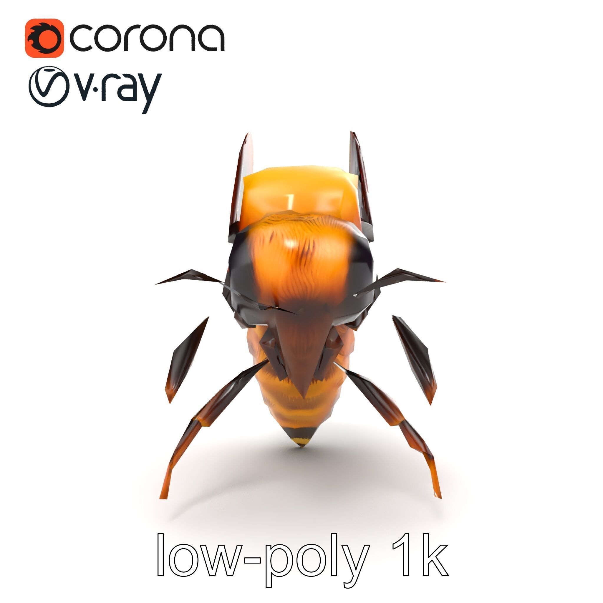 Honey Bee Realistic Anatomical Details model pack Low-poly 3D model_20
