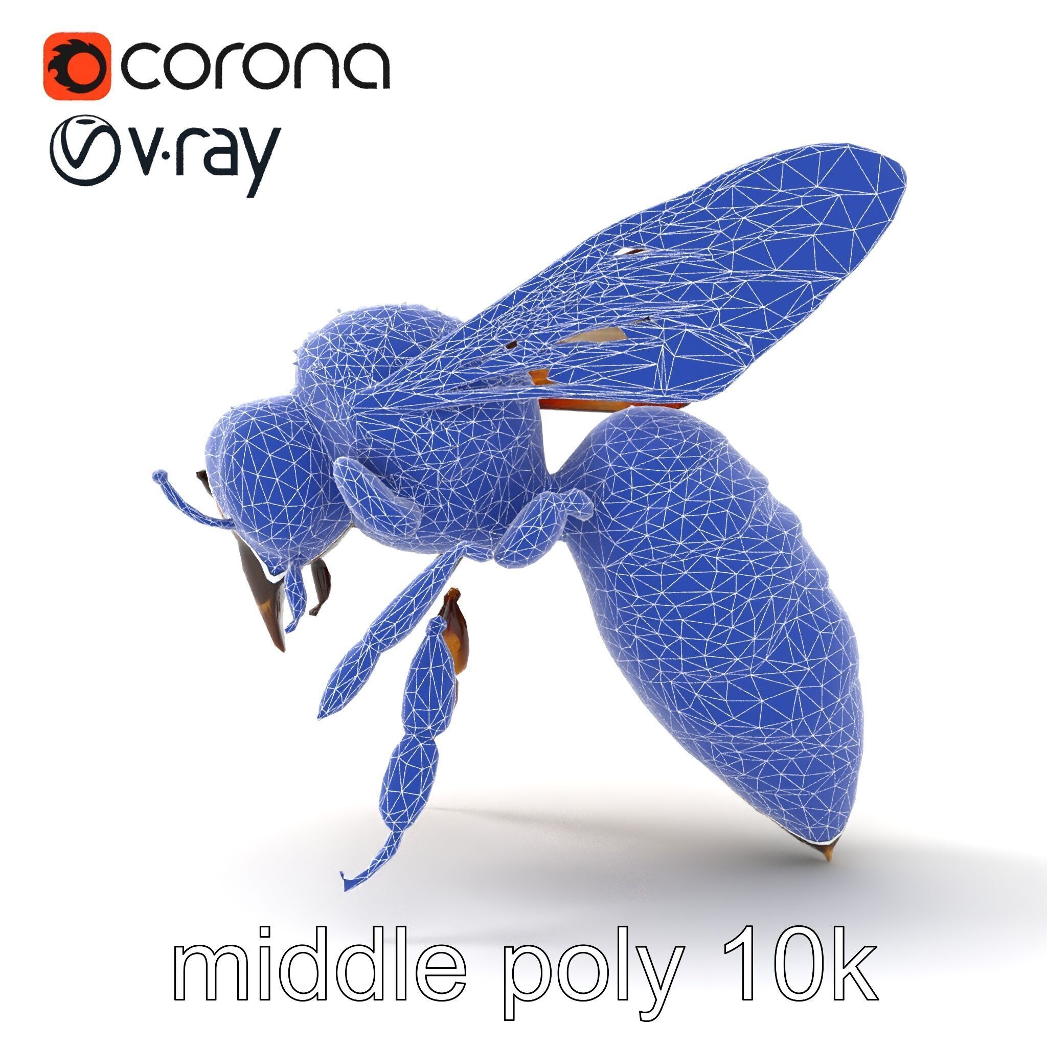 Honey Bee Realistic Anatomical Details model pack Low-poly 3D model_26