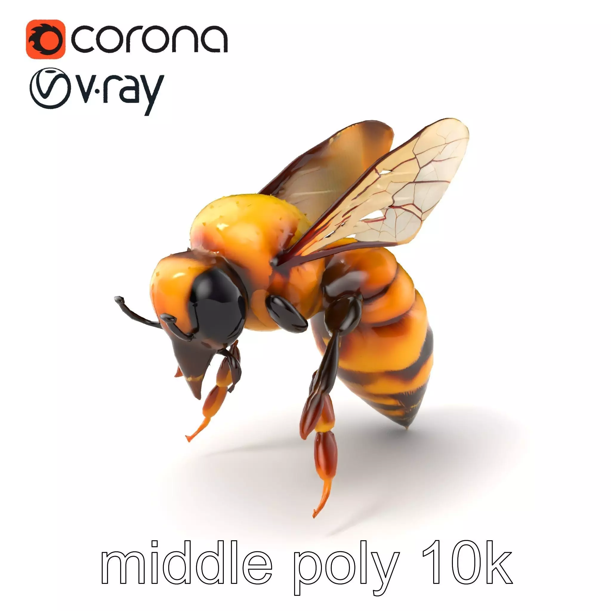 Honey Bee Realistic Anatomical Details model pack Low-poly 3D model_0