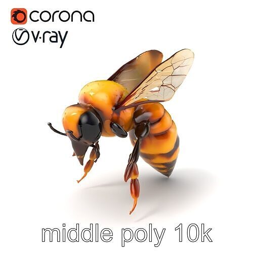 Honey Bee Realistic Anatomical Details model pack Low-poly 3D model