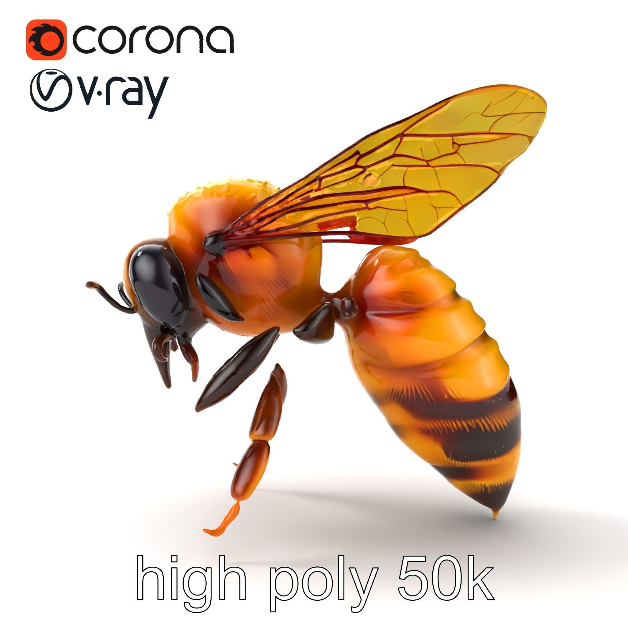 Honey Bee Realistic Anatomical Details model pack Low-poly 3D model_23