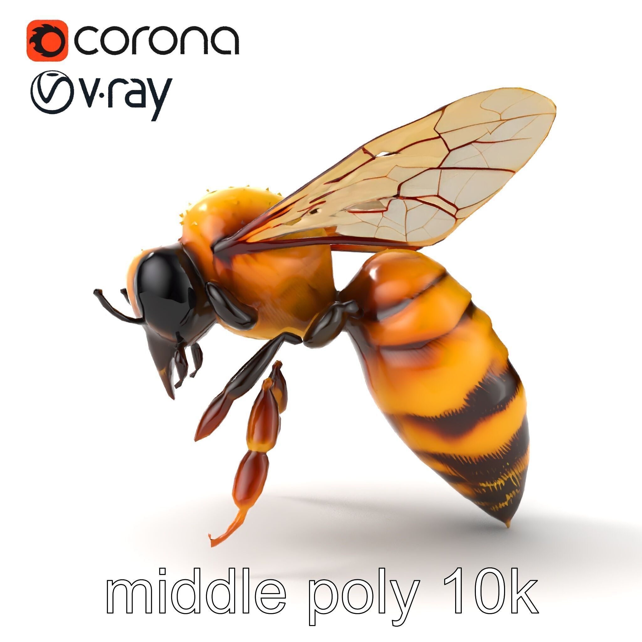 Honey Bee Realistic Anatomical Details model pack Low-poly 3D model_14