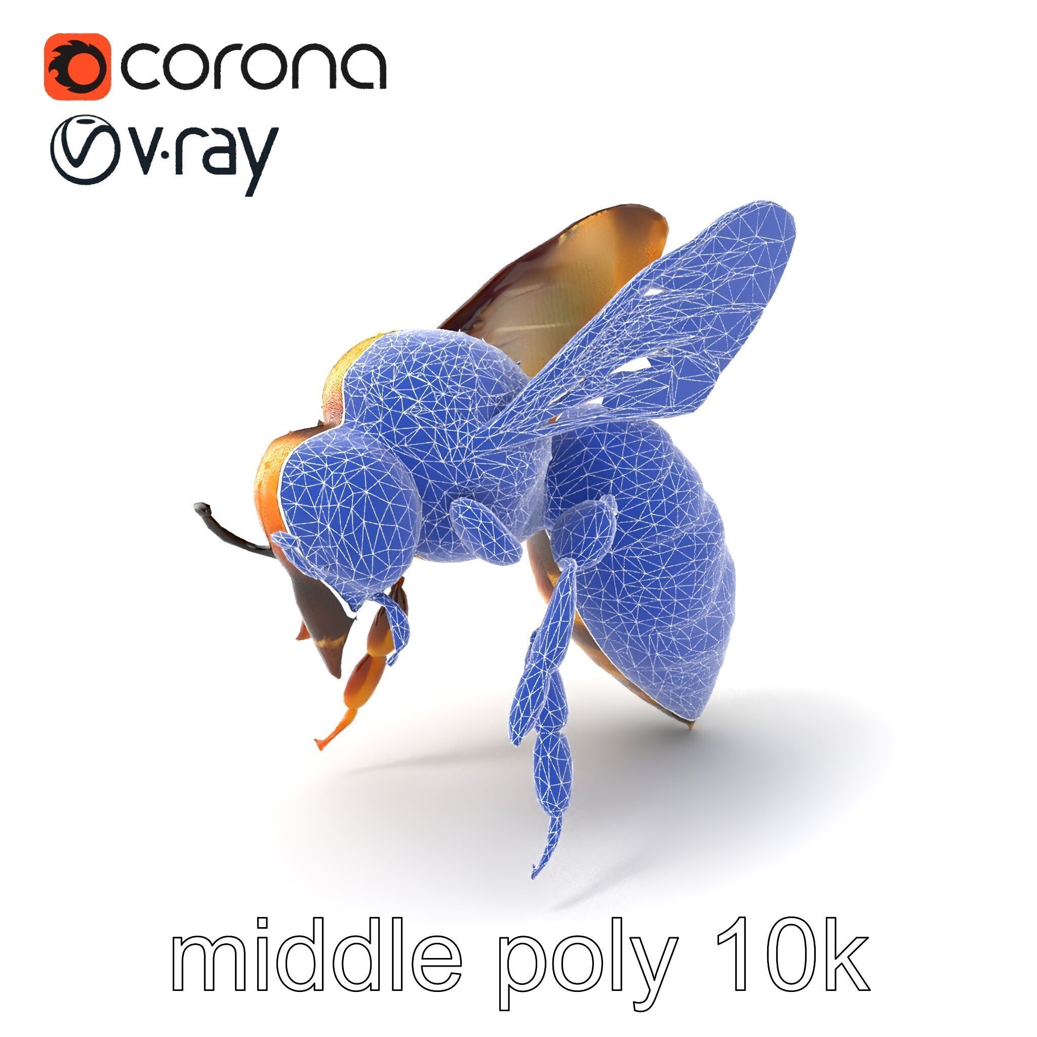 Honey Bee Realistic Anatomical Details model pack Low-poly 3D model_5