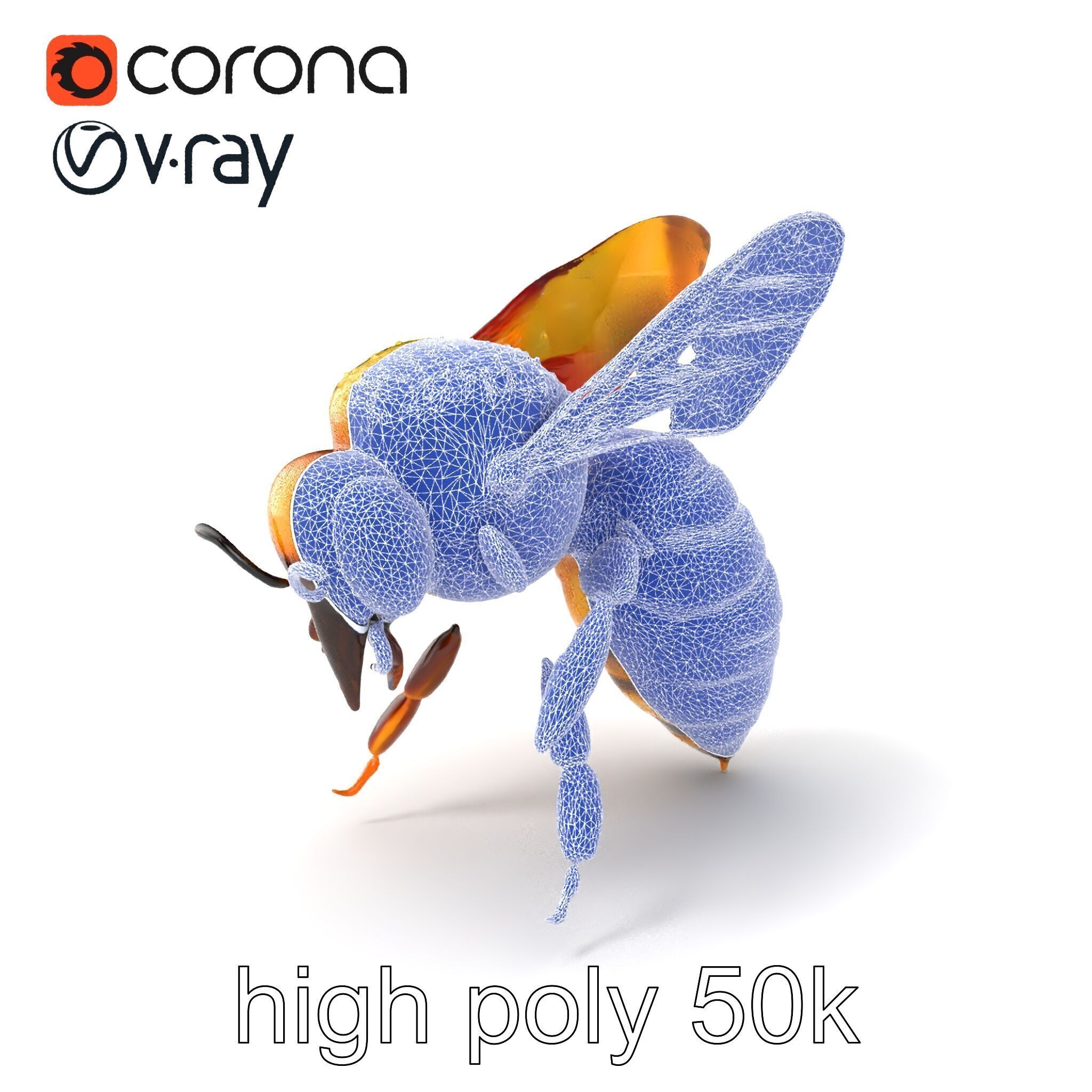 Honey Bee Realistic Anatomical Details model pack Low-poly 3D model_1