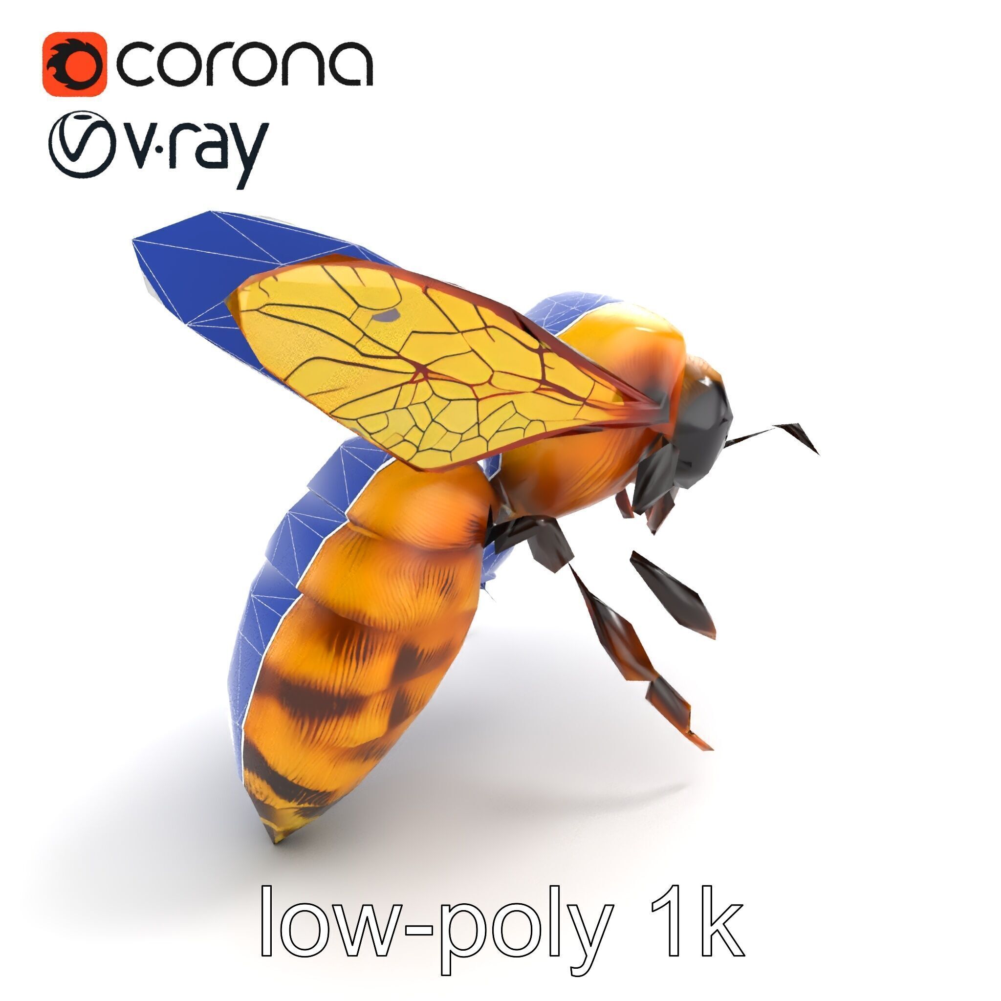 Honey Bee Realistic Anatomical Details model pack Low-poly 3D model_29