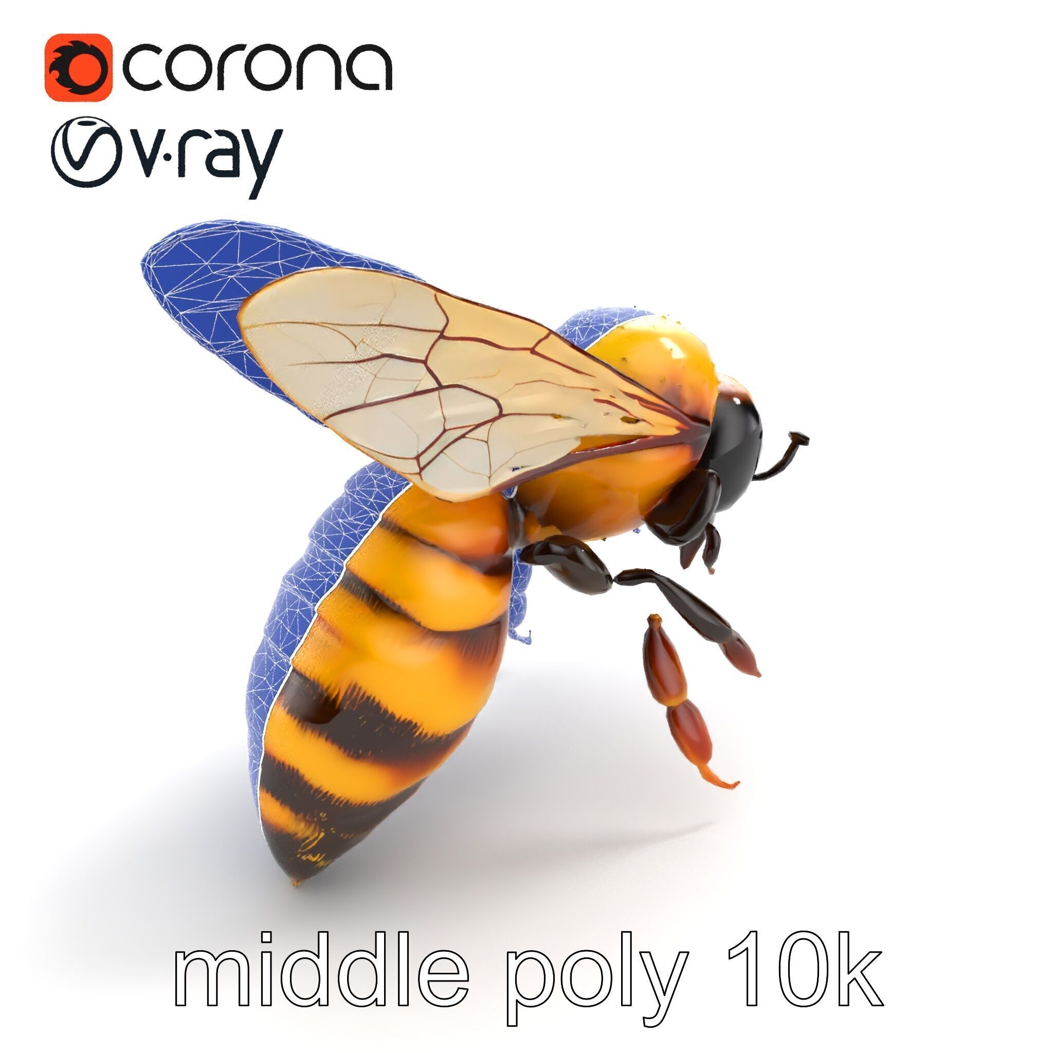 Honey Bee Realistic Anatomical Details model pack Low-poly 3D model_10