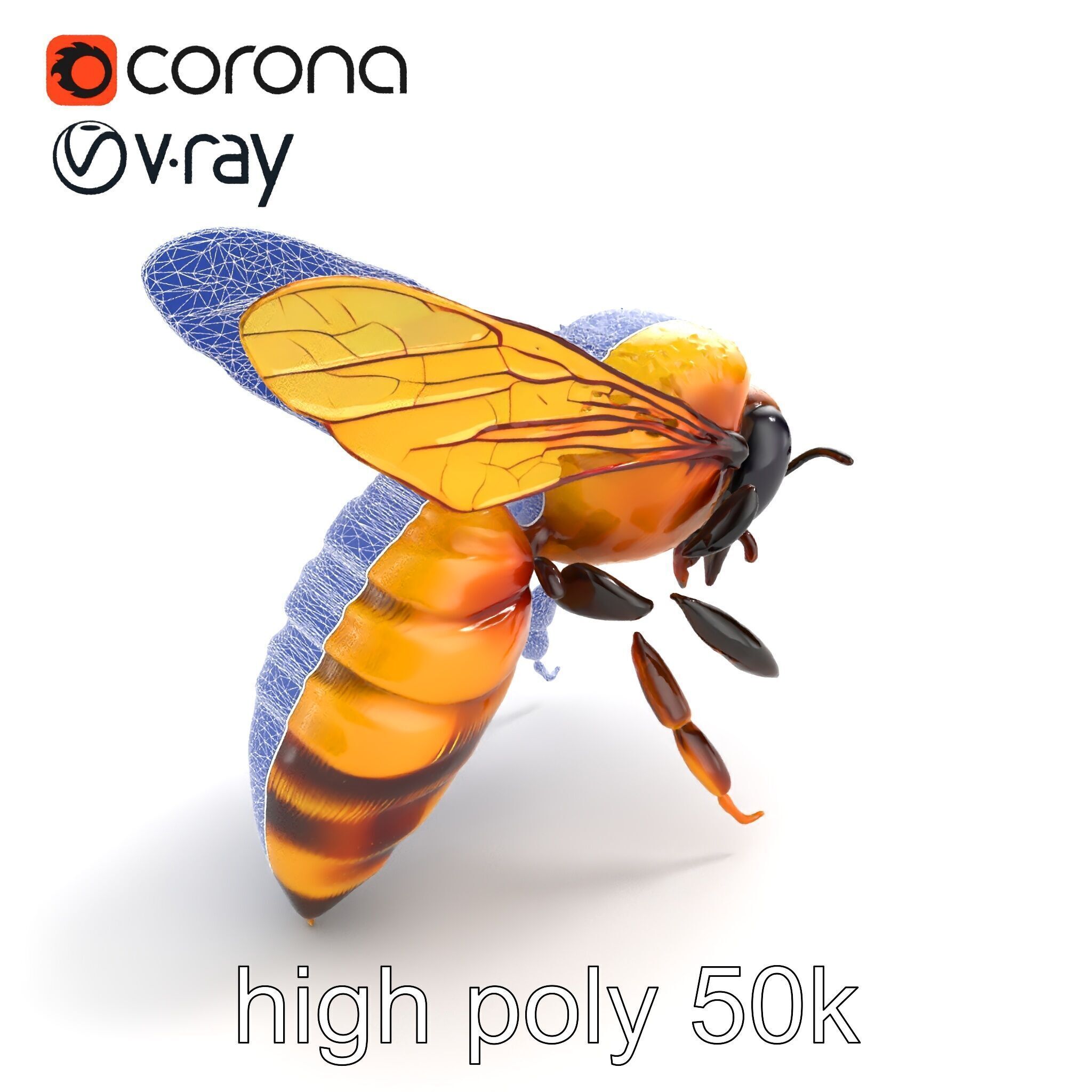 Honey Bee Realistic Anatomical Details model pack Low-poly 3D model_15