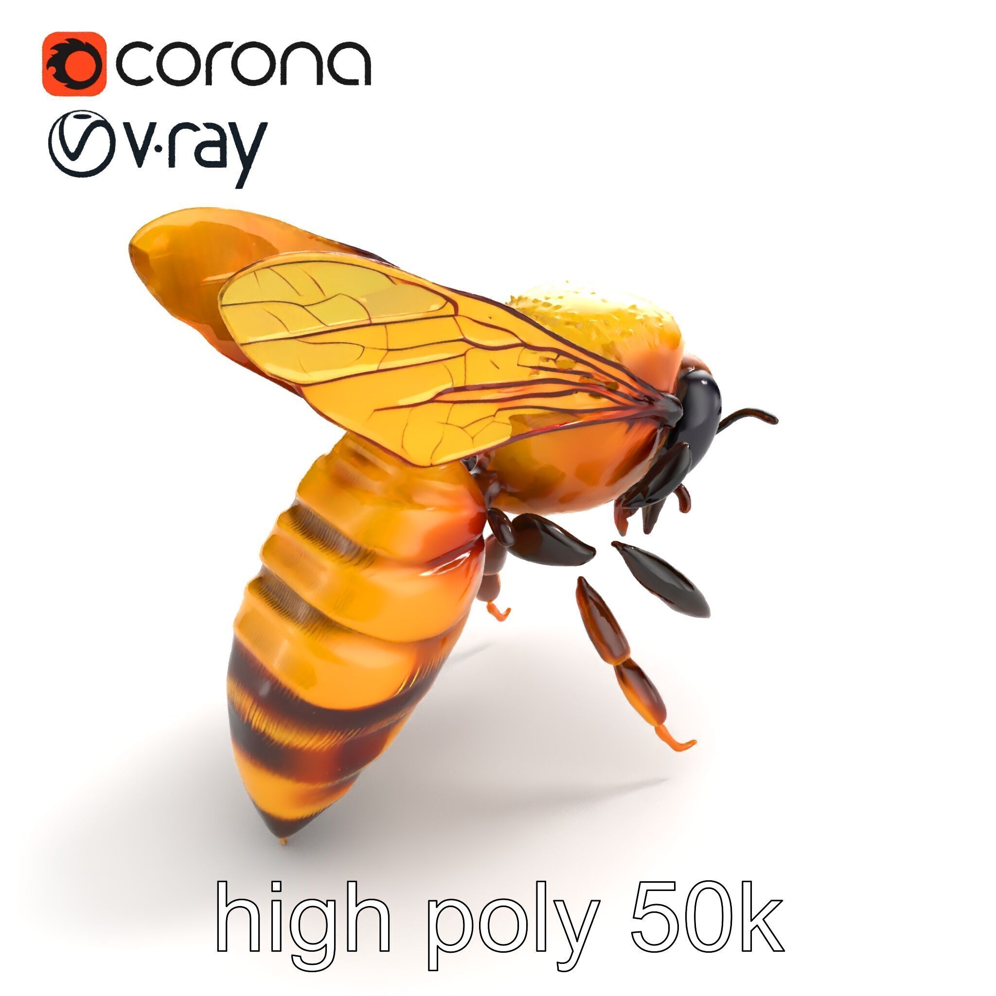 Honey Bee Realistic Anatomical Details model pack Low-poly 3D model_9