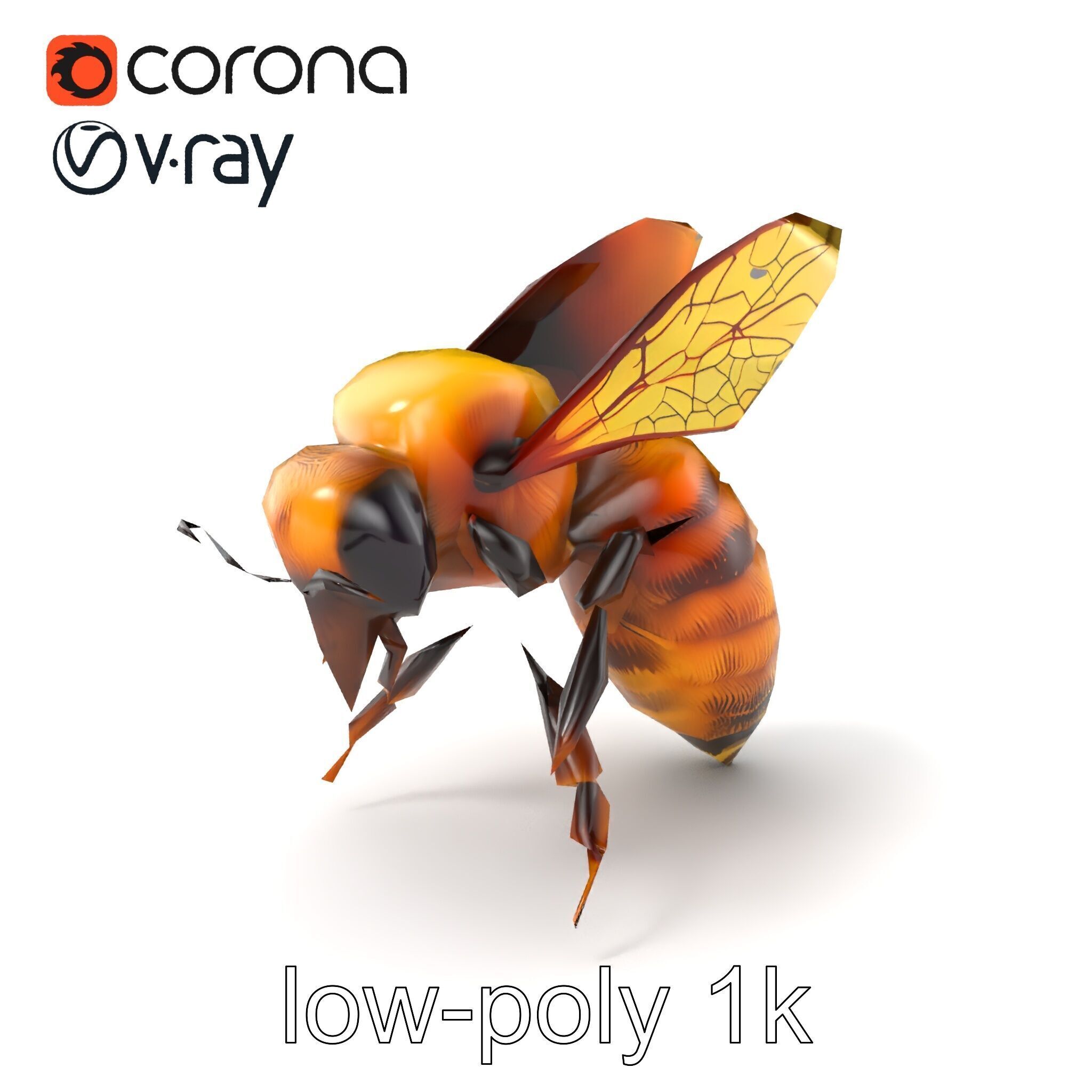 Honey Bee Realistic Anatomical Details model pack Low-poly 3D model_4