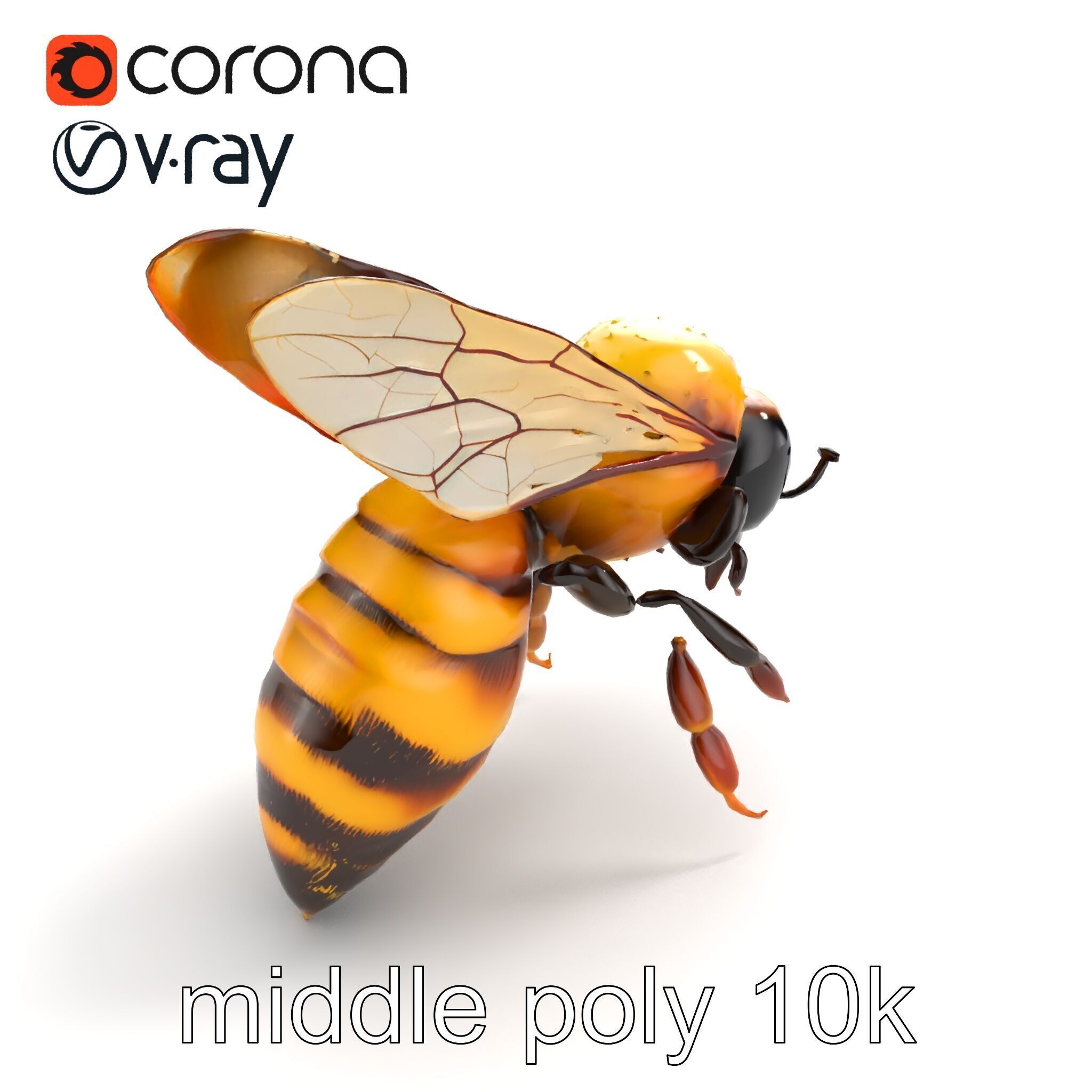 Honey Bee Realistic Anatomical Details model pack Low-poly 3D model_7