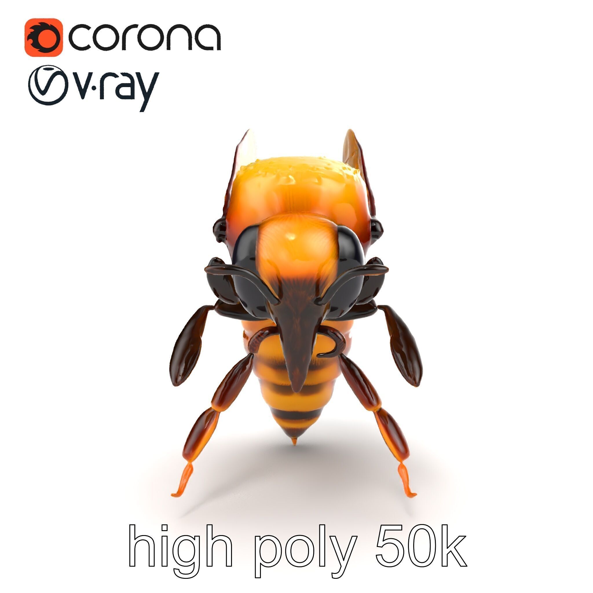 Honey Bee Realistic Anatomical Details model pack Low-poly 3D model_17