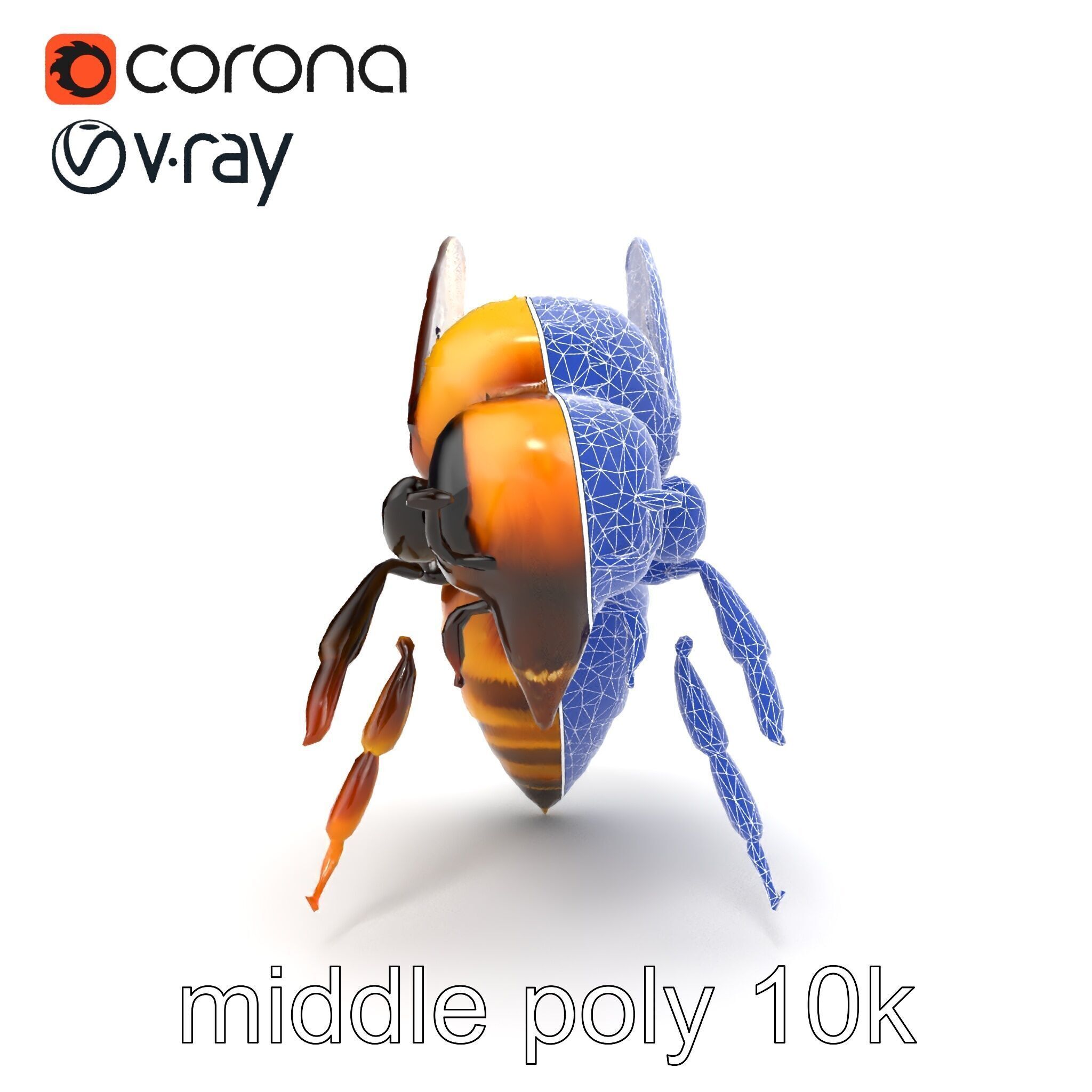 Honey Bee Realistic Anatomical Details model pack Low-poly 3D model_27