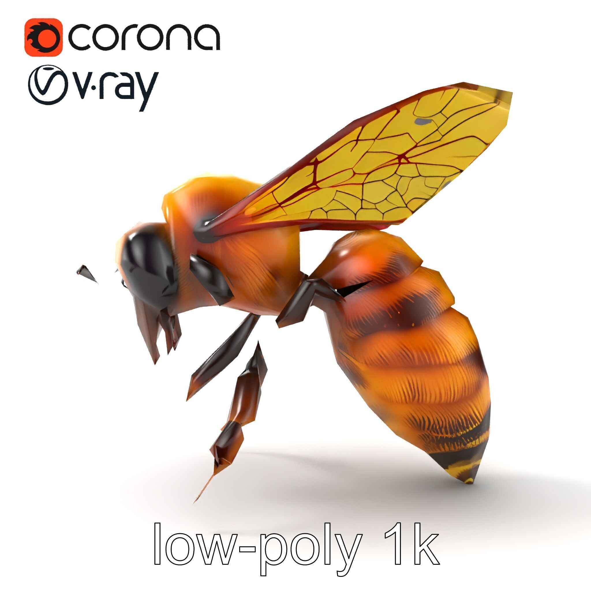 Honey Bee Realistic Anatomical Details model pack Low-poly 3D model_16