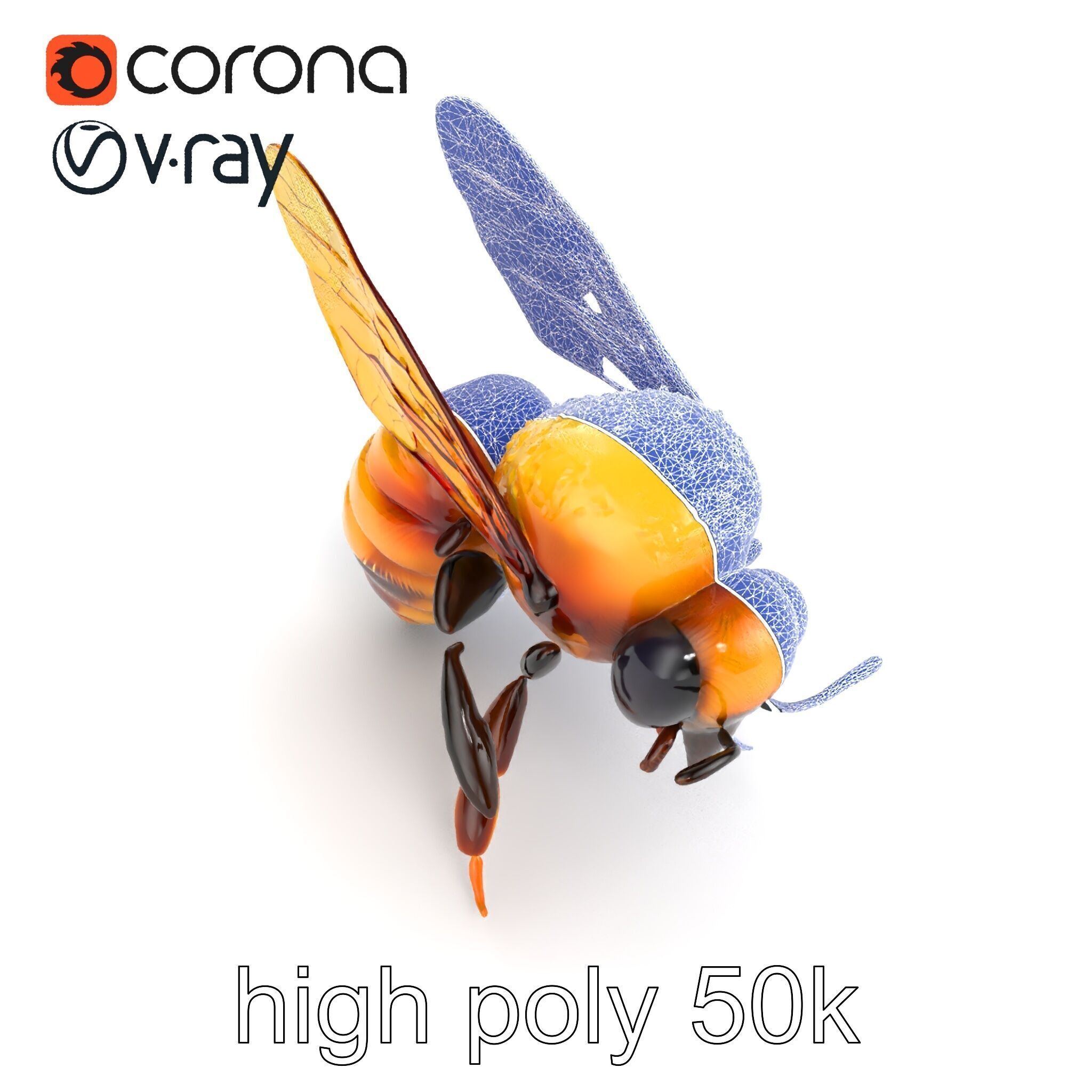 Honey Bee Realistic Anatomical Details model pack Low-poly 3D model_30