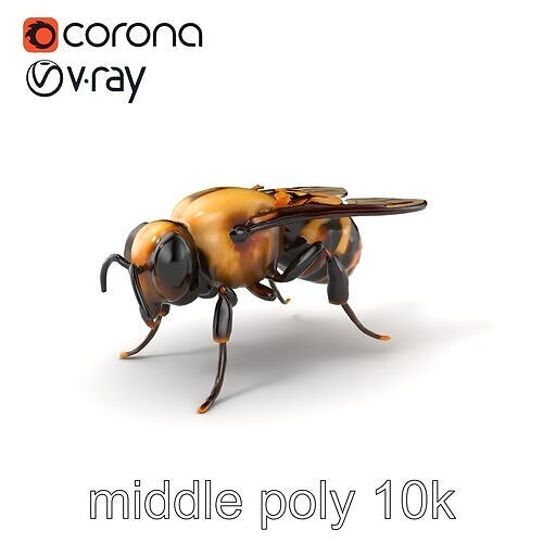 Carpenter Bee Blue-Black Texture Model Pack Low-poly 3D model