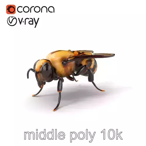 Carpenter Bee Blue-Black Texture Model Pack