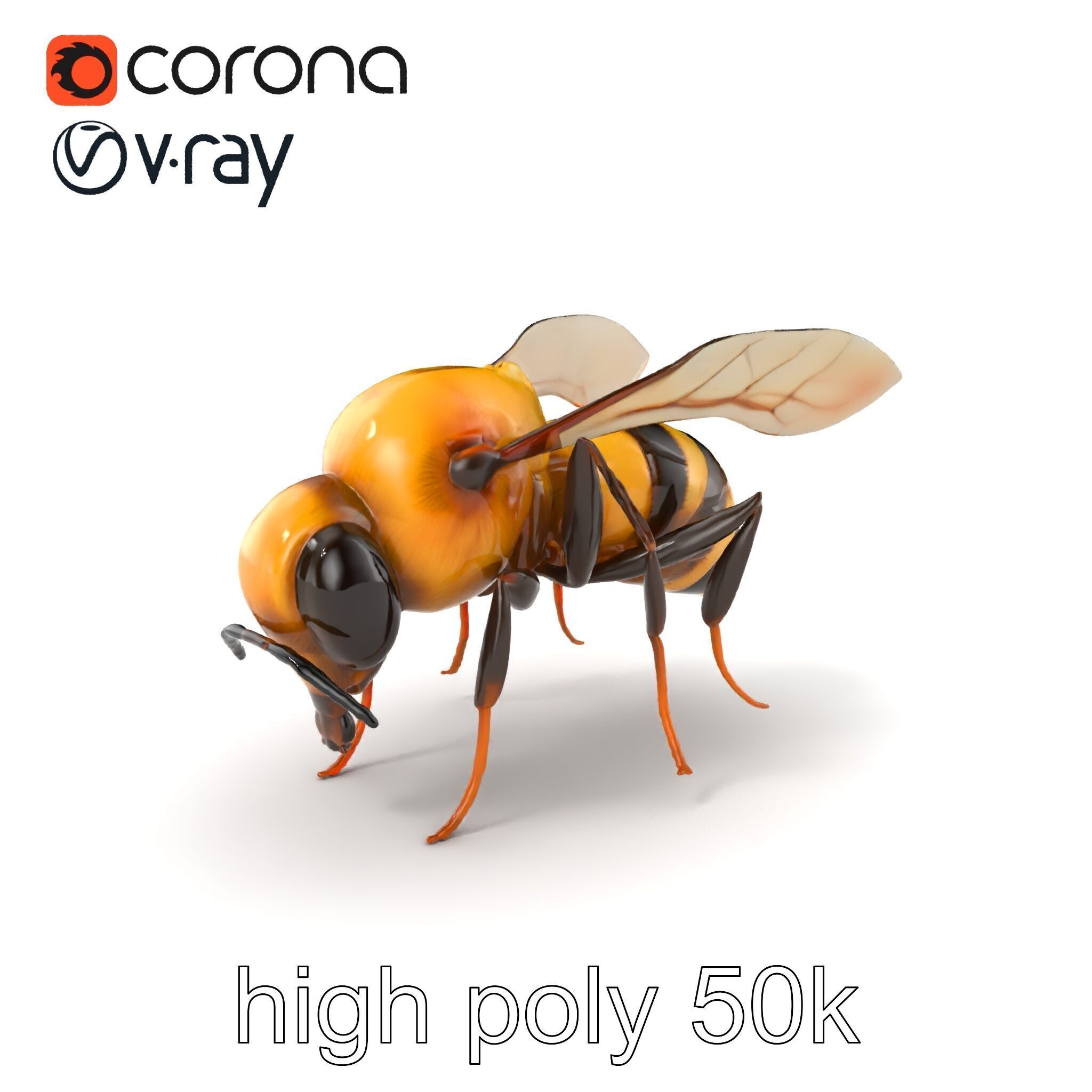 Dwarf Bee Intricate Detail Model Pack Low-poly 3D model_2