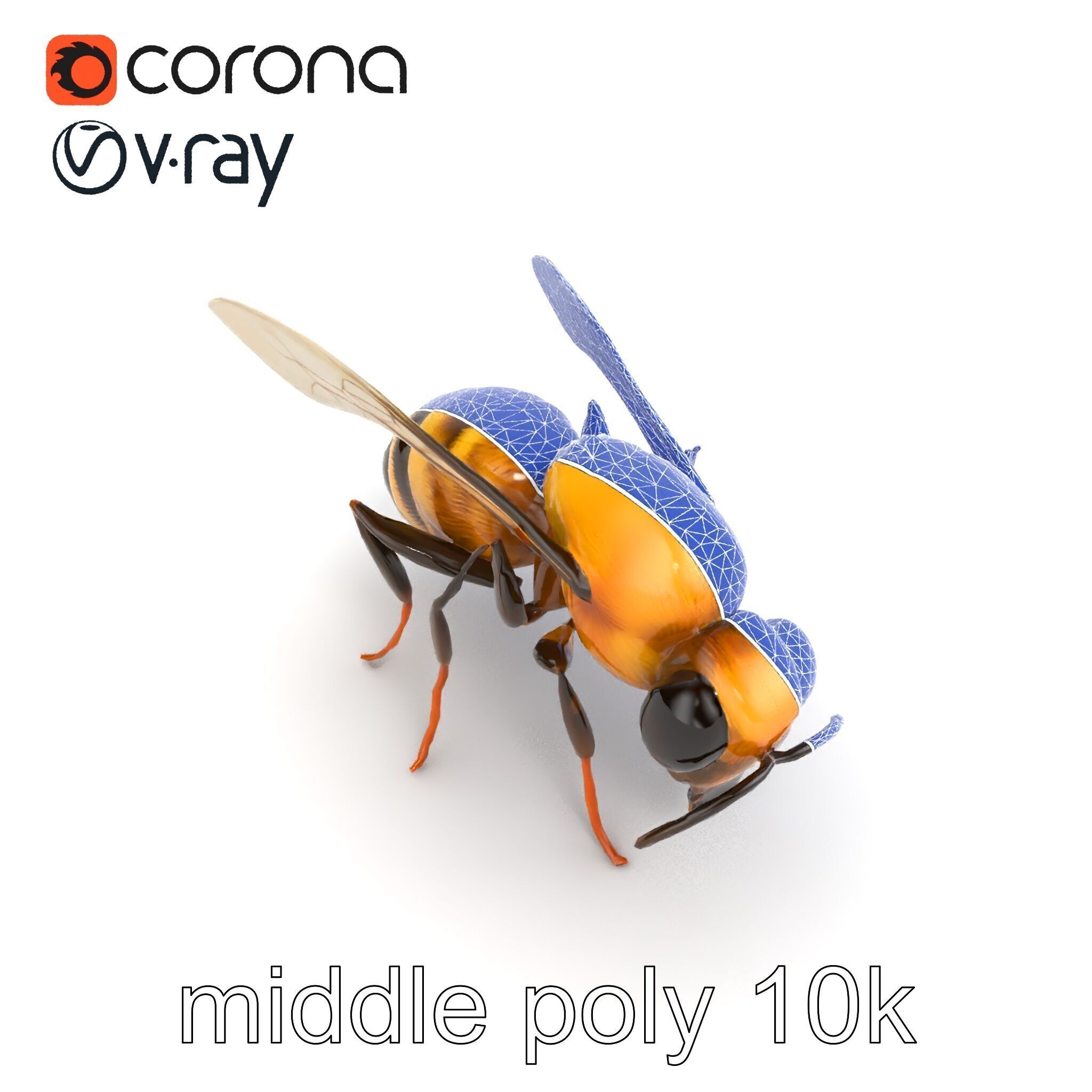 Dwarf Bee Intricate Detail Model Pack Low-poly 3D model_17