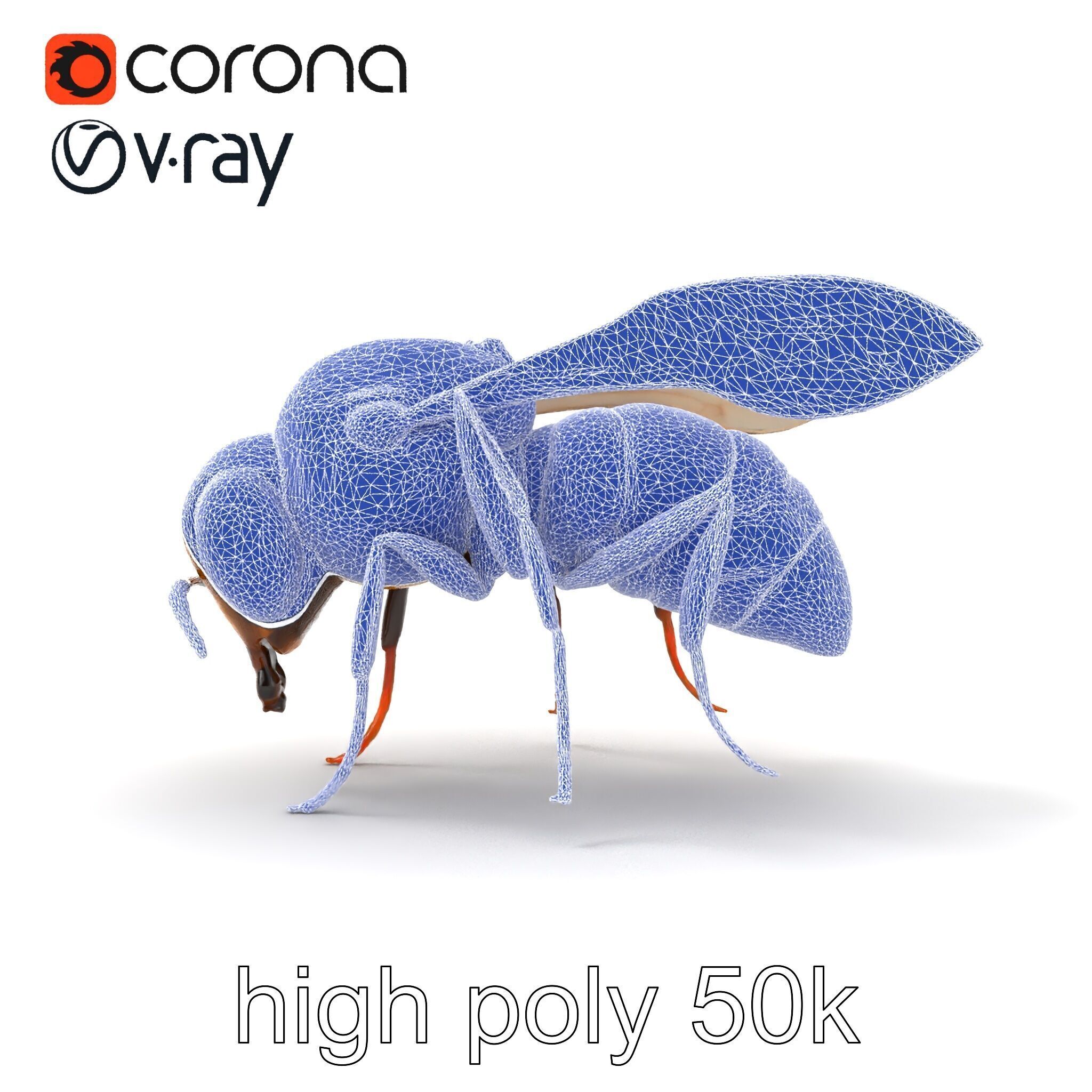 Dwarf Bee Intricate Detail Model Pack Low-poly 3D model_26