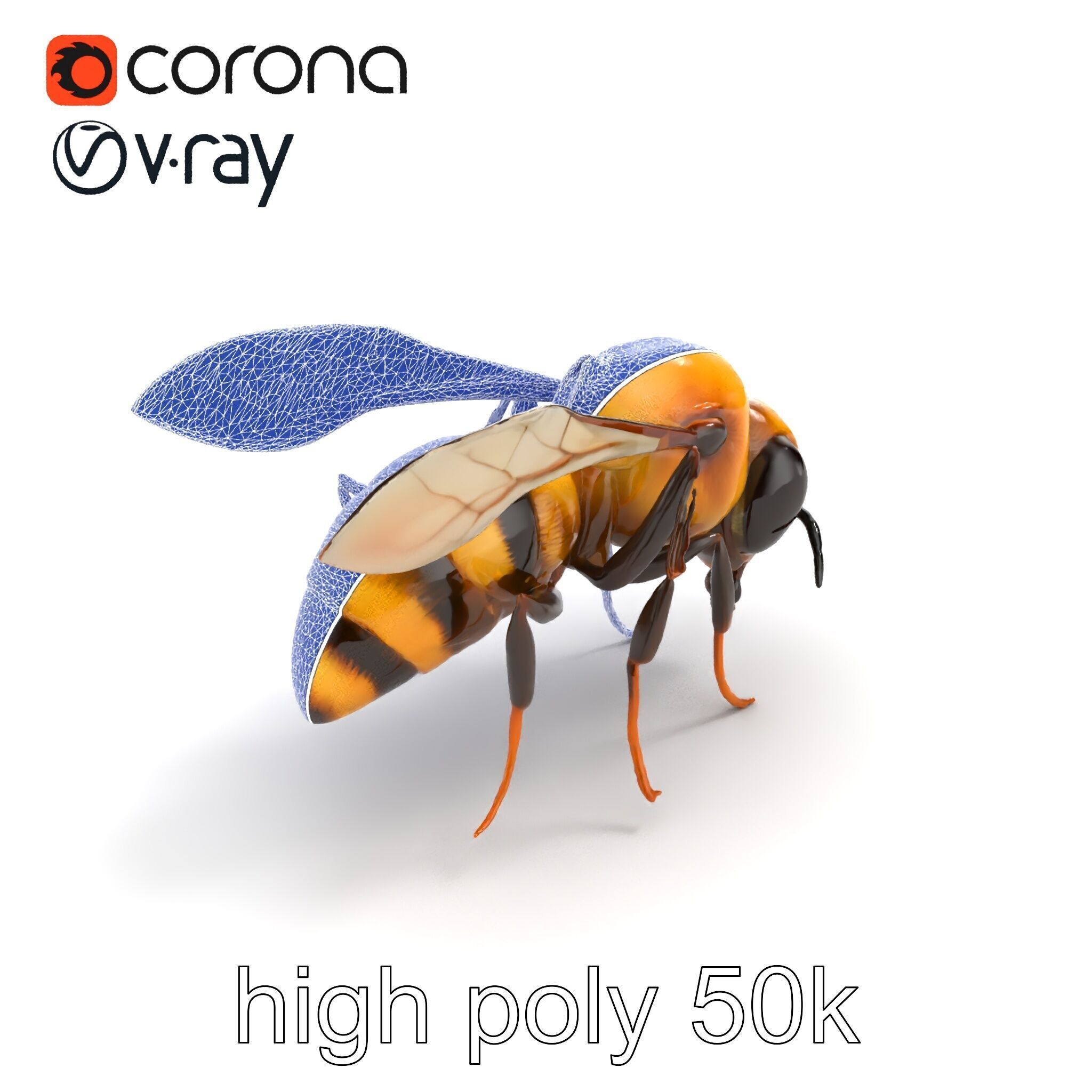 Dwarf Bee Intricate Detail Model Pack Low-poly 3D model_11