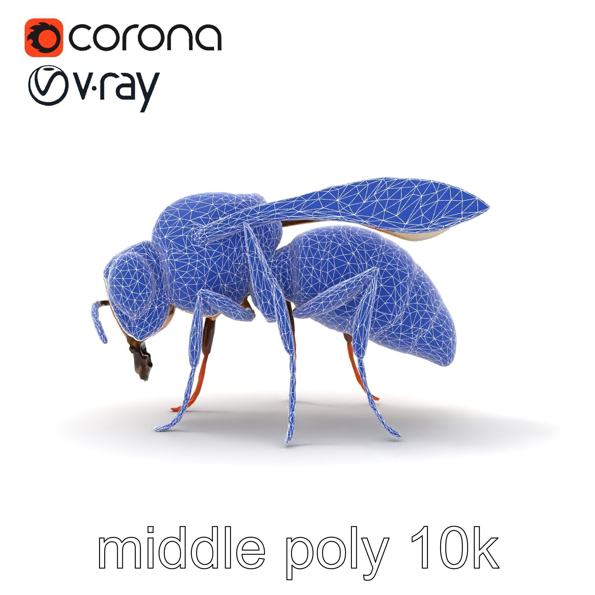 Dwarf Bee Intricate Detail Model Pack Low-poly 3D model_25