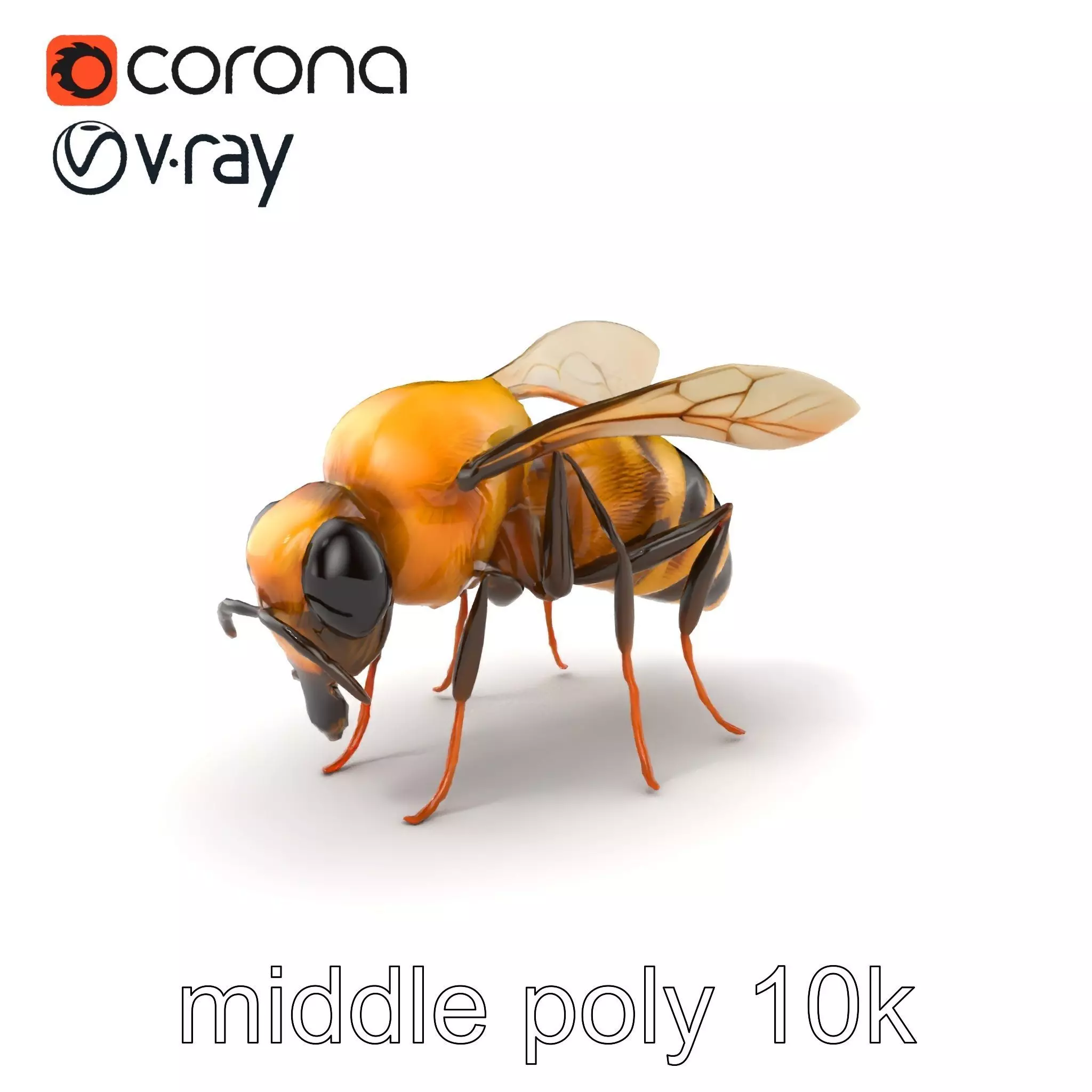Dwarf Bee Intricate Detail Model Pack Low-poly 3D model_0