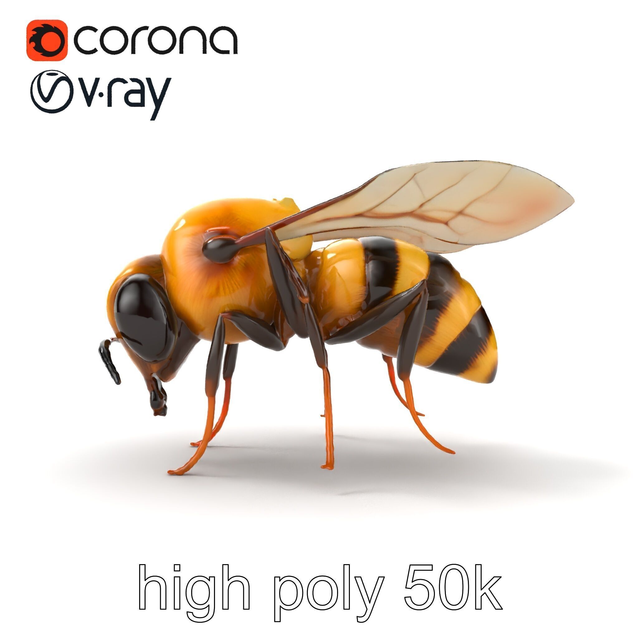 Dwarf Bee Intricate Detail Model Pack Low-poly 3D model_24