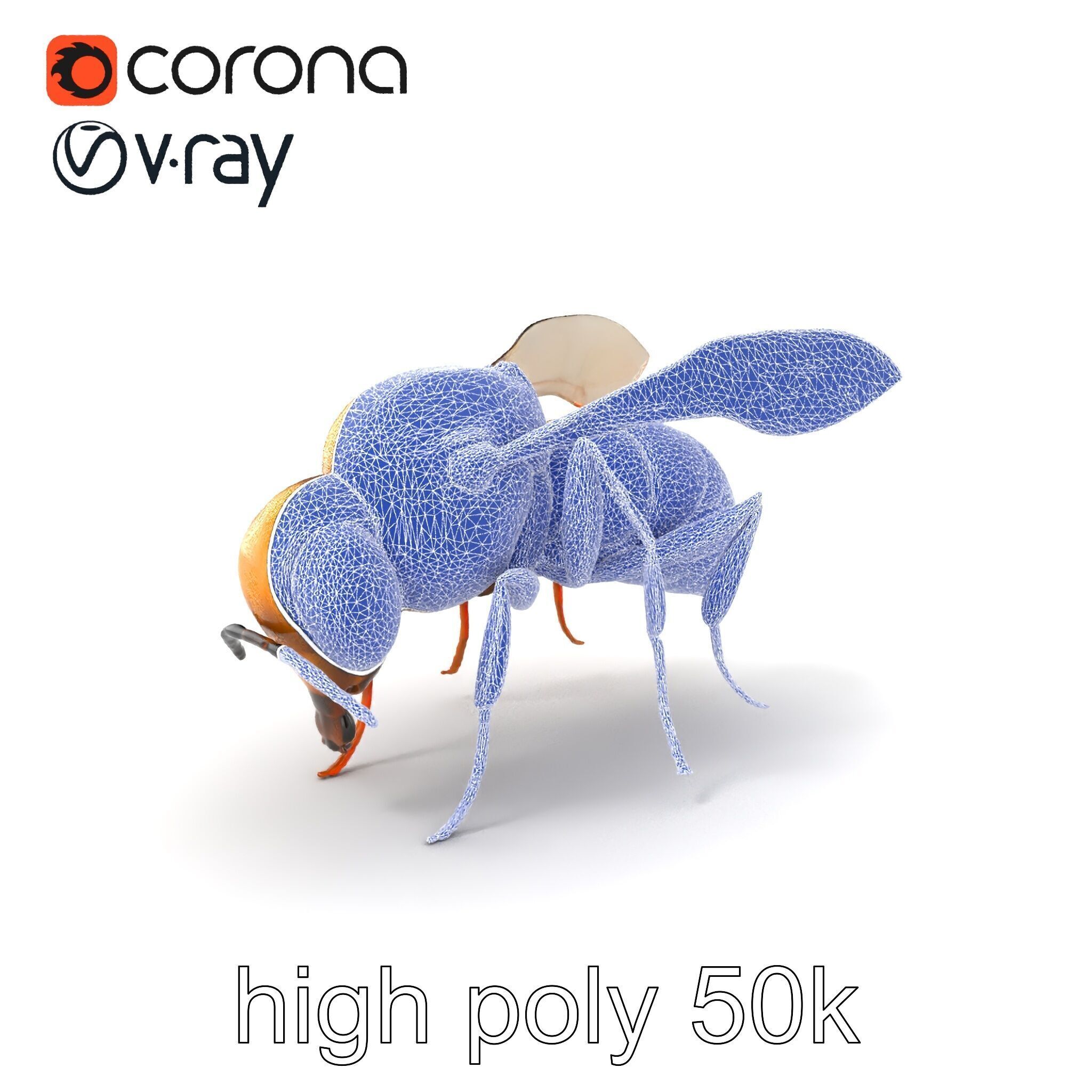Dwarf Bee Intricate Detail Model Pack Low-poly 3D model_1