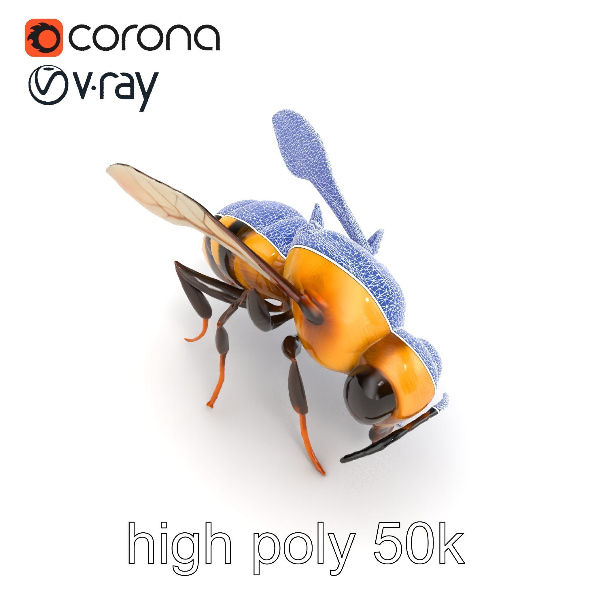 Dwarf Bee Intricate Detail Model Pack Low-poly 3D model_28
