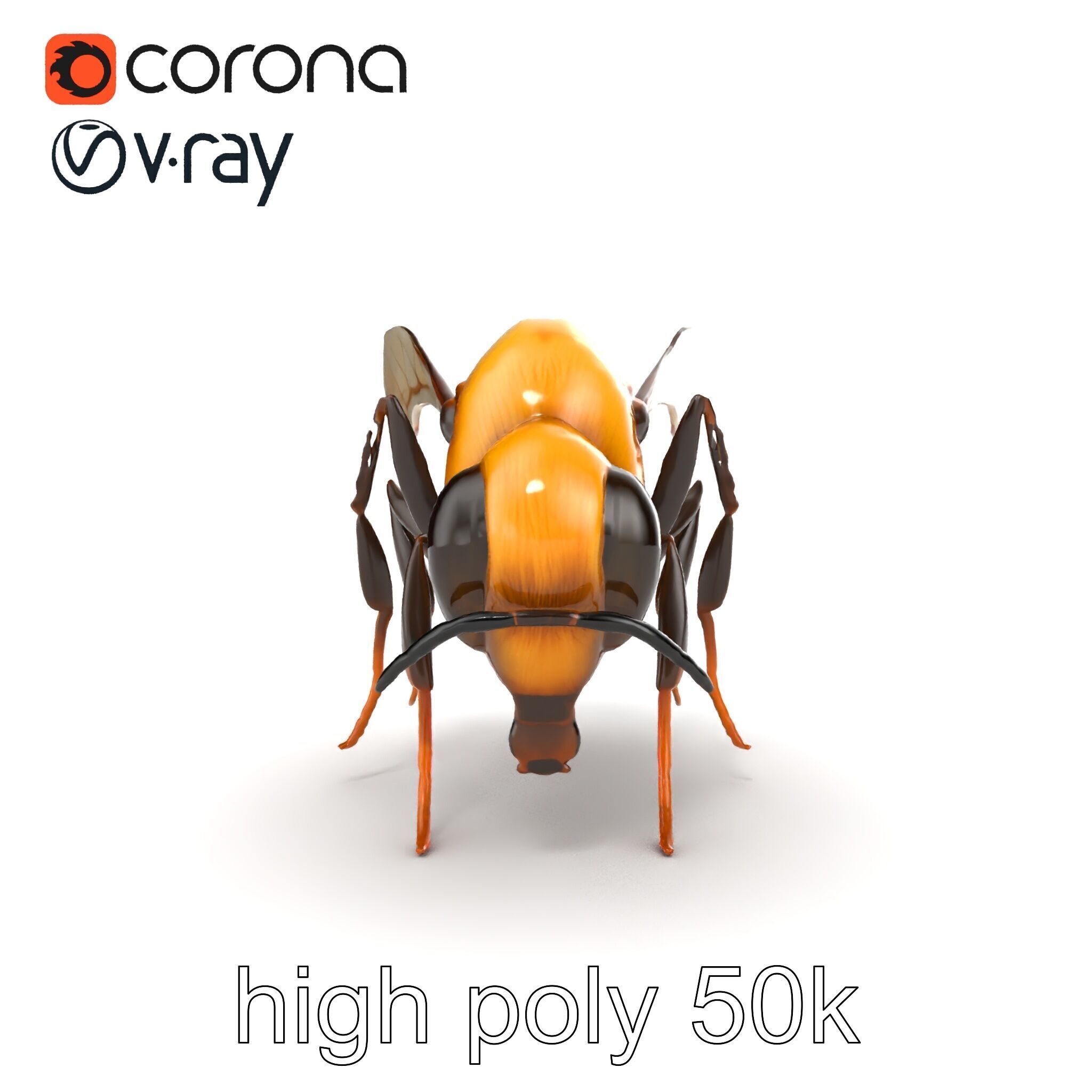 Dwarf Bee Intricate Detail Model Pack Low-poly 3D model_19