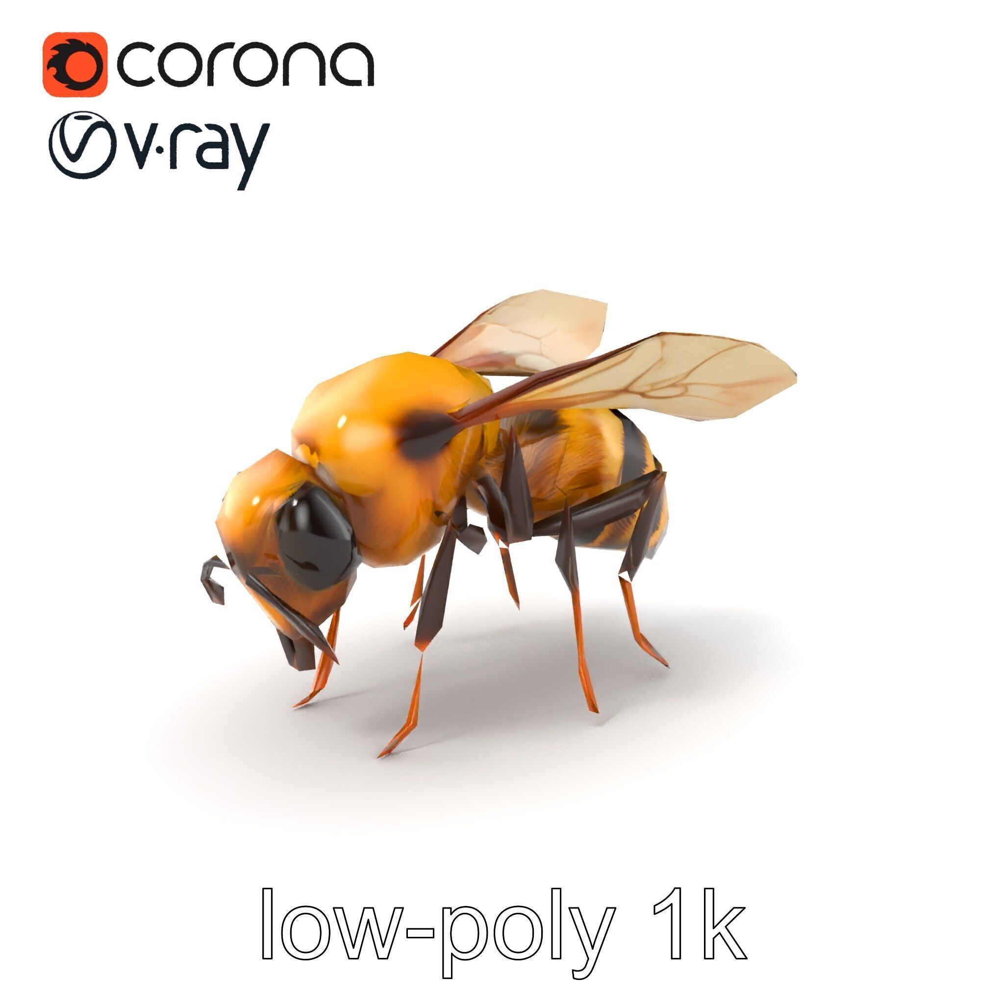 Dwarf Bee Intricate Detail Model Pack Low-poly 3D model_4
