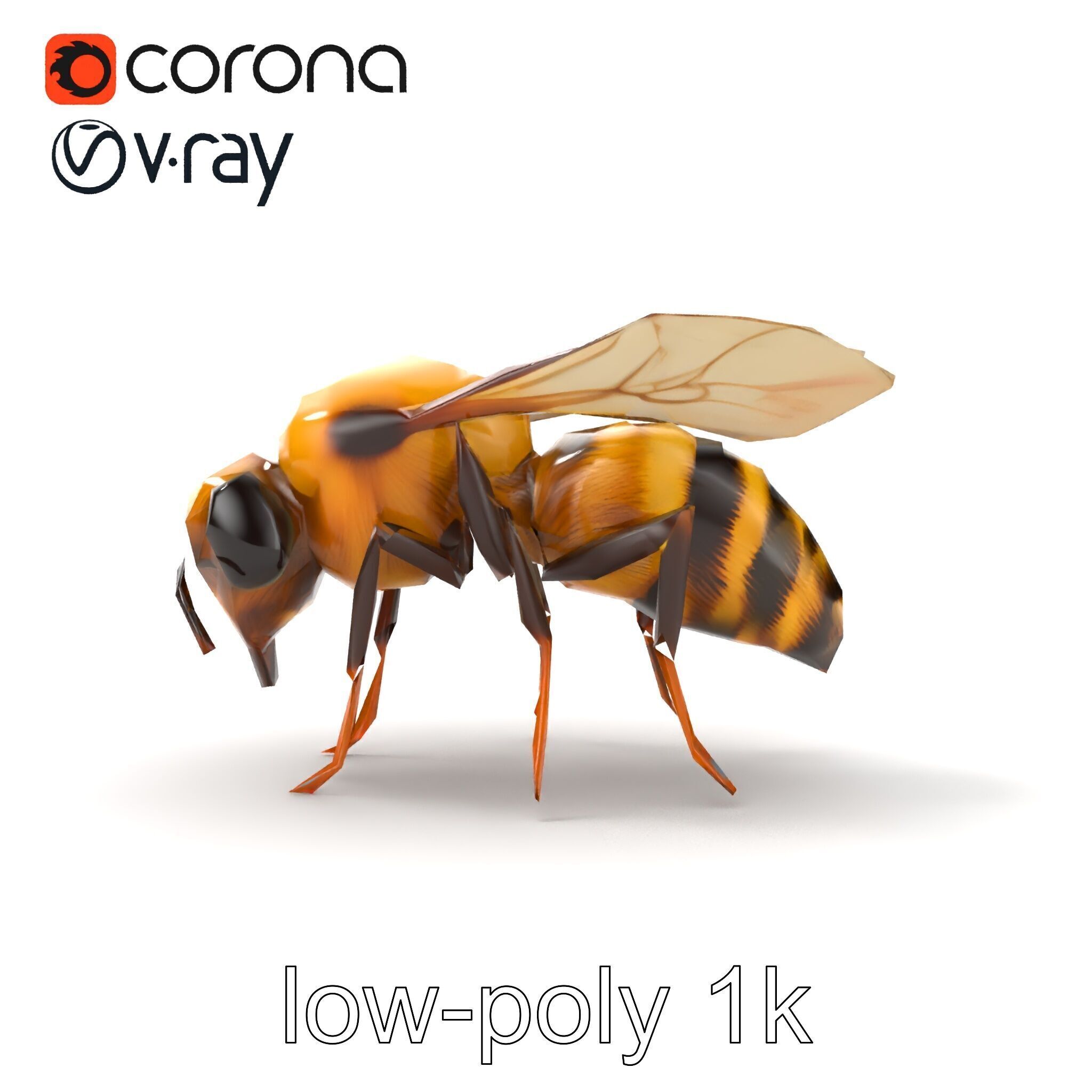 Dwarf Bee Intricate Detail Model Pack Low-poly 3D model_15