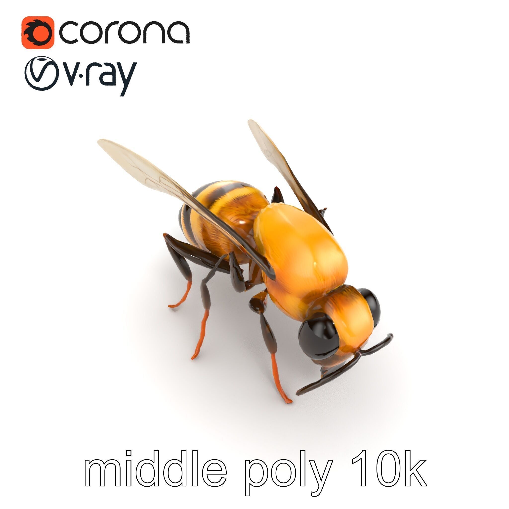 Dwarf Bee Intricate Detail Model Pack Low-poly 3D model_16