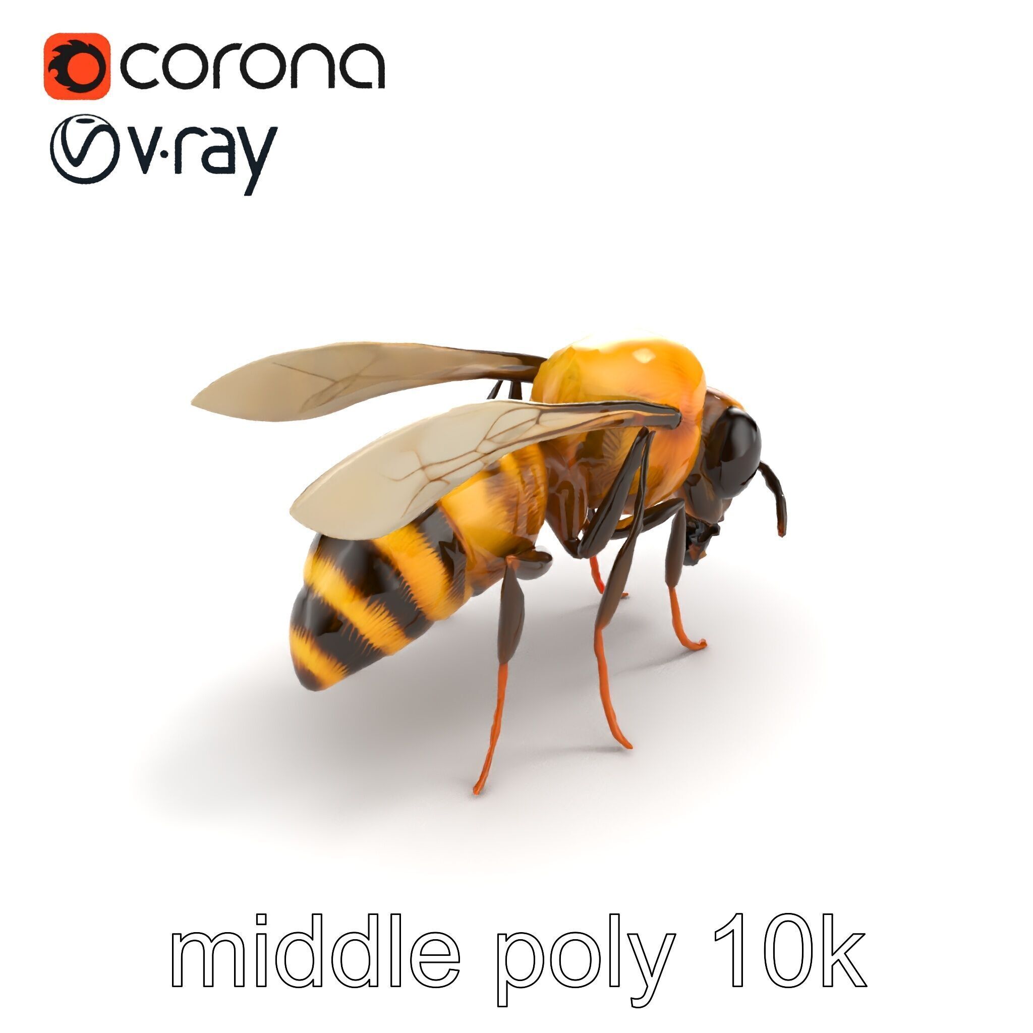 Dwarf Bee Intricate Detail Model Pack Low-poly 3D model_7