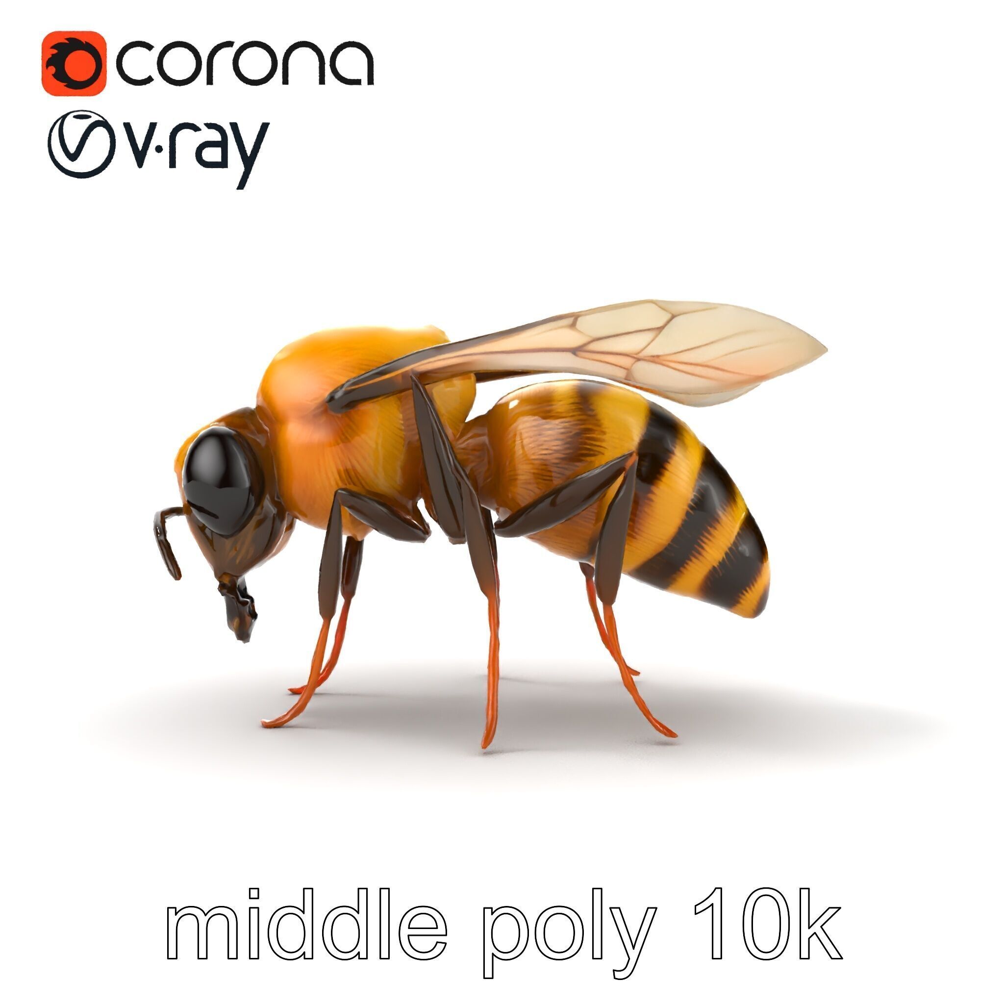 Dwarf Bee Intricate Detail Model Pack Low-poly 3D model_30