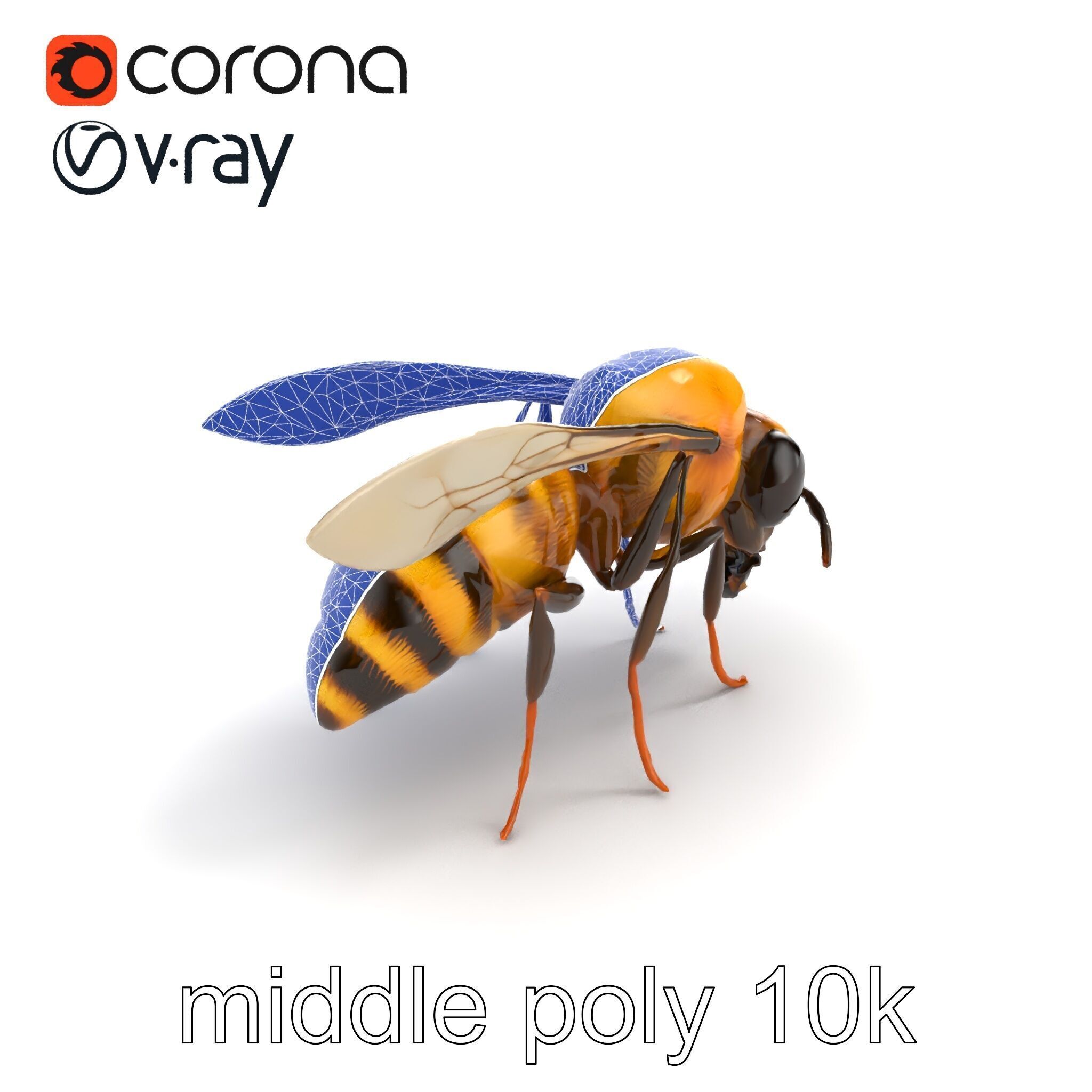 Dwarf Bee Intricate Detail Model Pack Low-poly 3D model_10