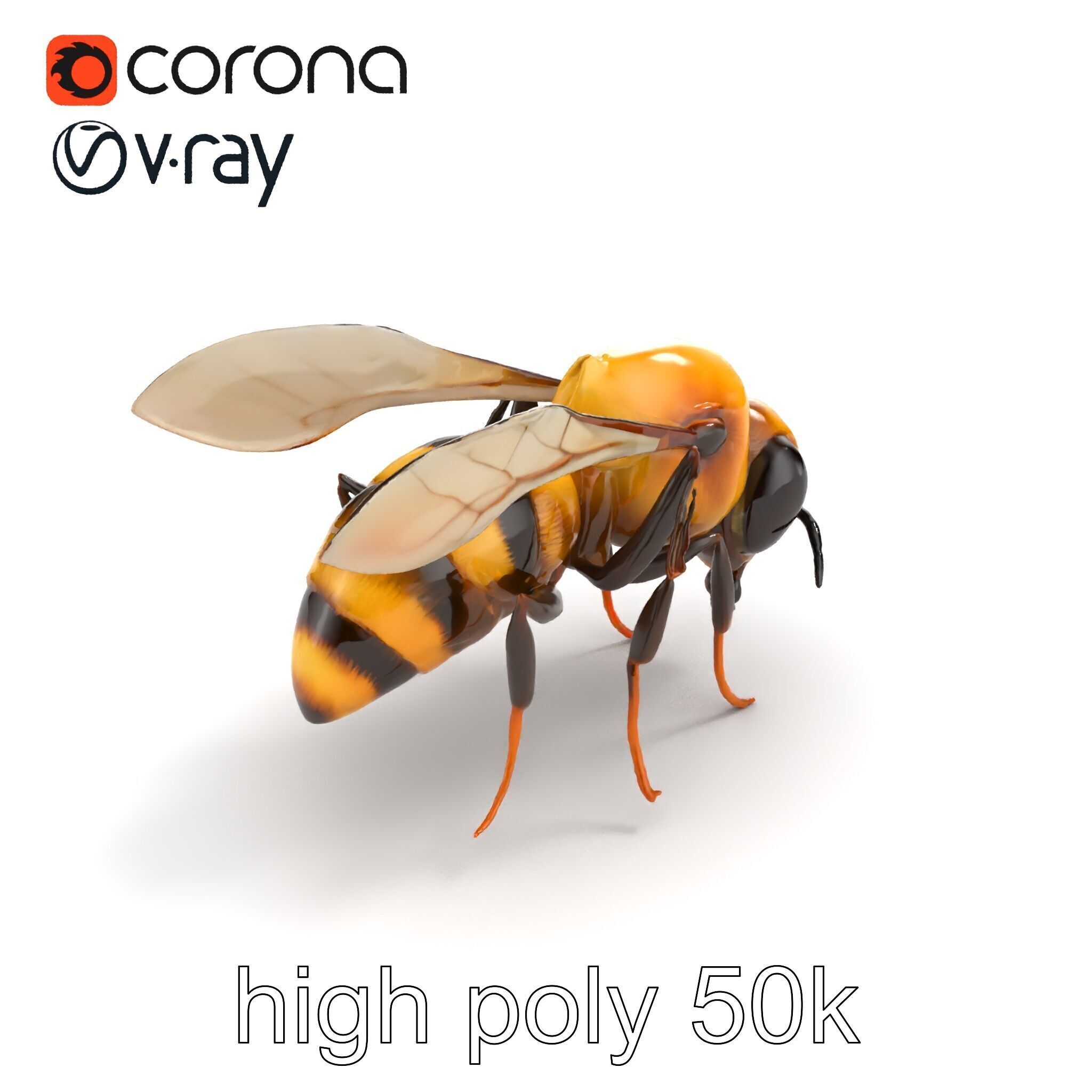 Dwarf Bee Intricate Detail Model Pack Low-poly 3D model_9