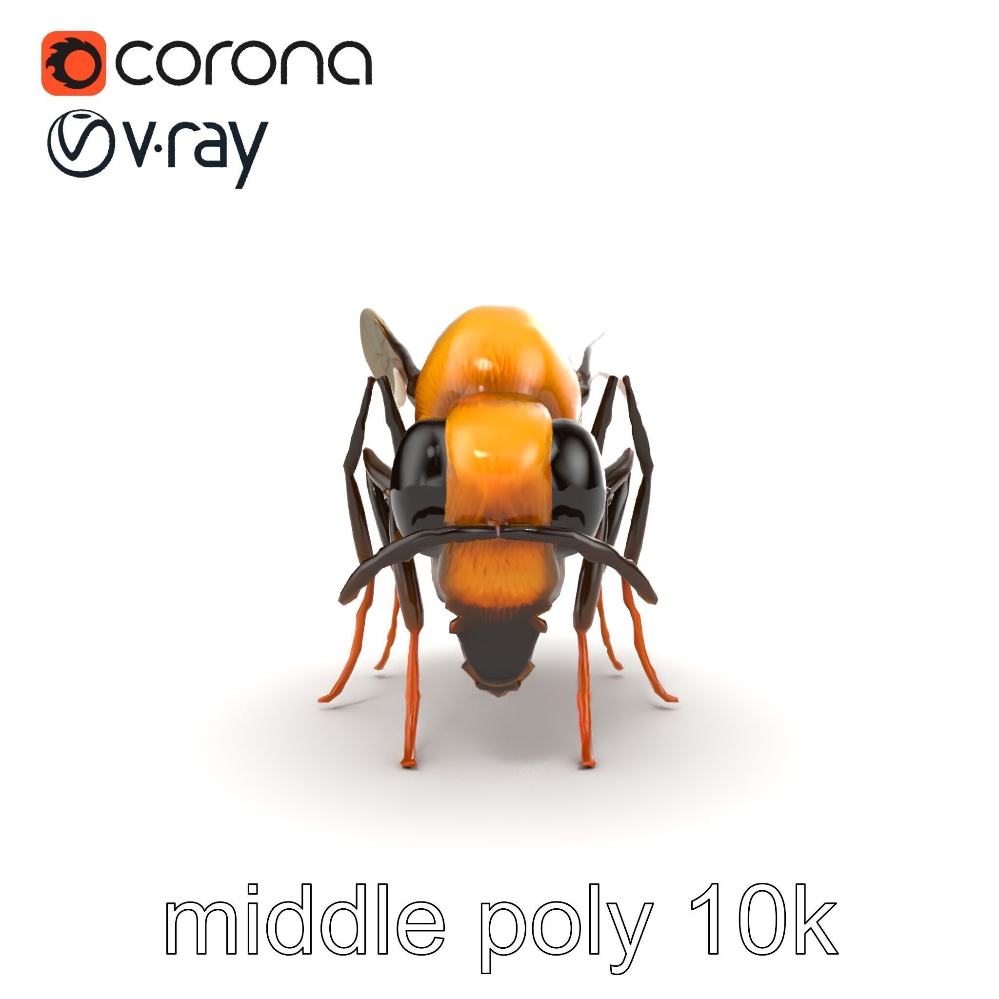 Dwarf Bee Intricate Detail Model Pack Low-poly 3D model_22