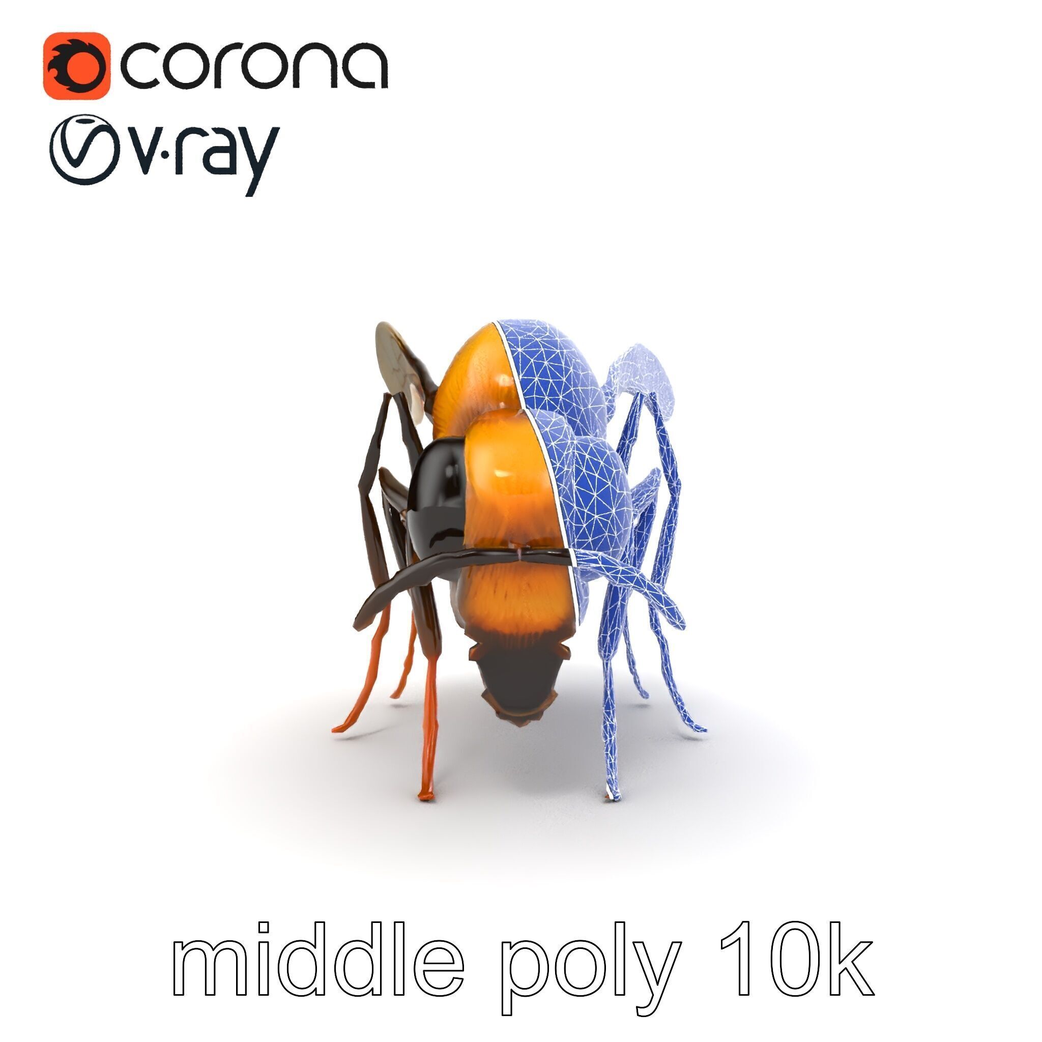 Dwarf Bee Intricate Detail Model Pack Low-poly 3D model_21